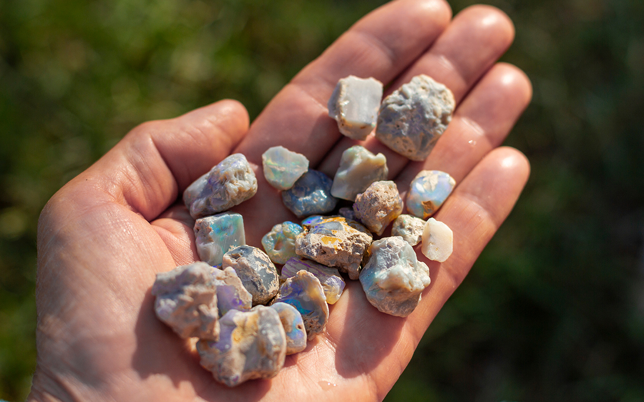 Lightning Ridge black opal rough in a hand