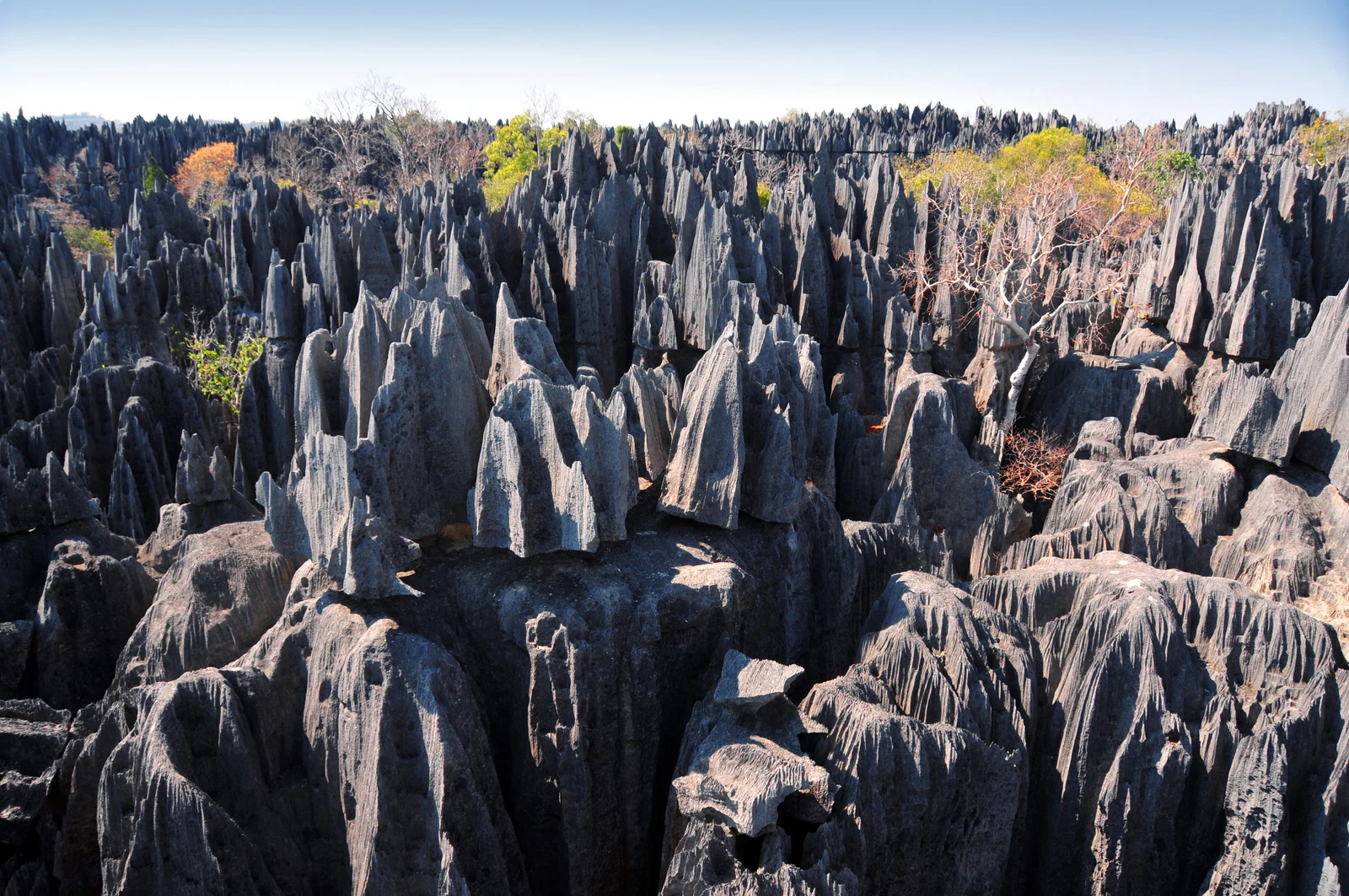 The Tsingy Stone Forest