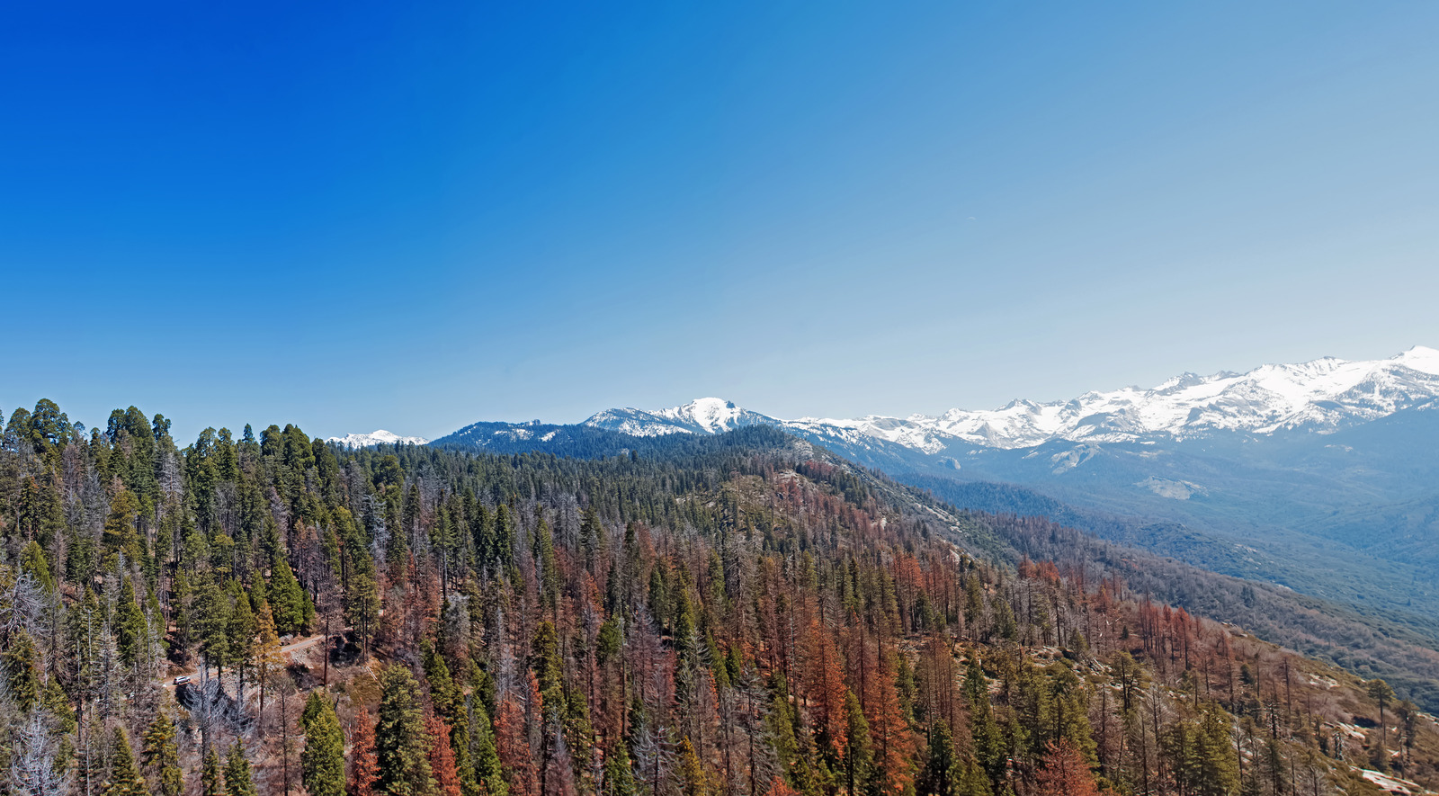 Sequoia & Kings Canyon National Parks