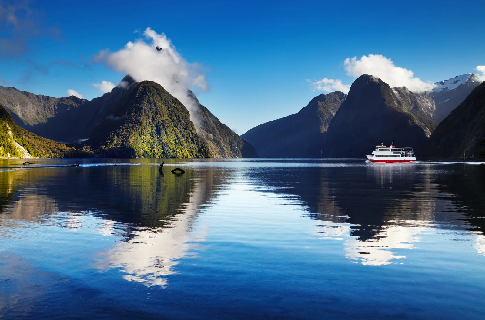 New Zealand