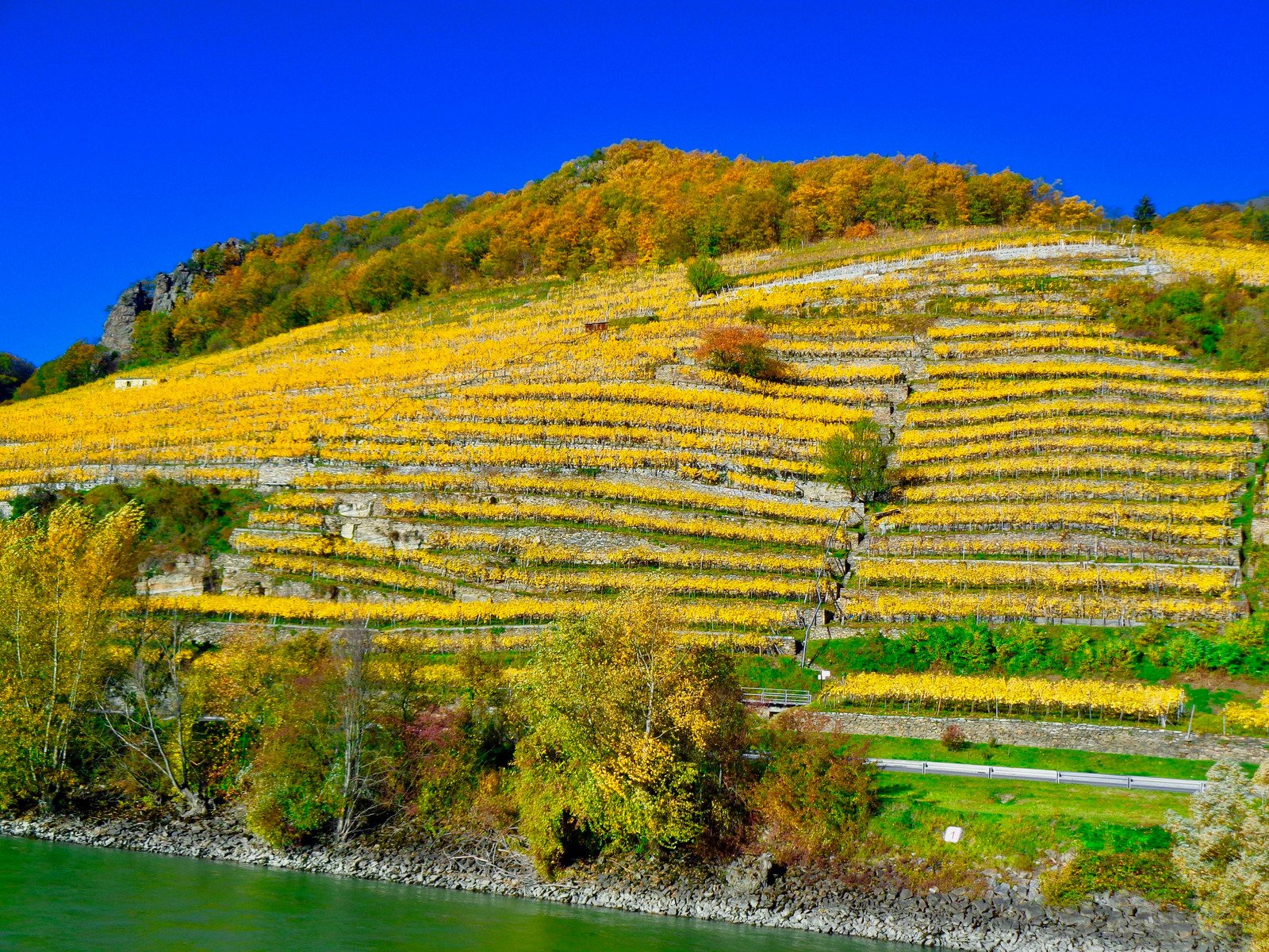 The historic wine lovers paradise of Wachau Valley, Austria.