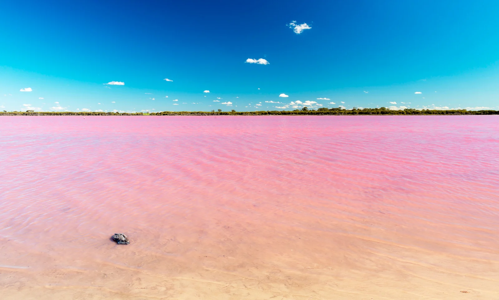 The Pink Lake (Lake Hillier)