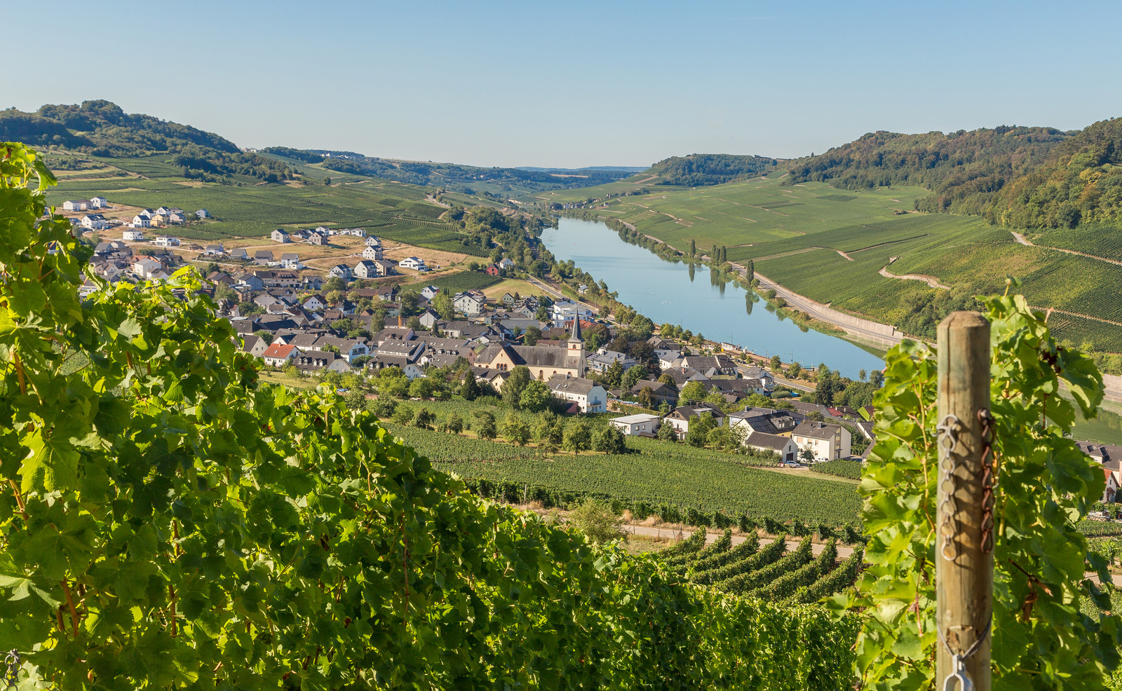 Small village surrounded by vineyards and backed by a winding river in the German countryside.