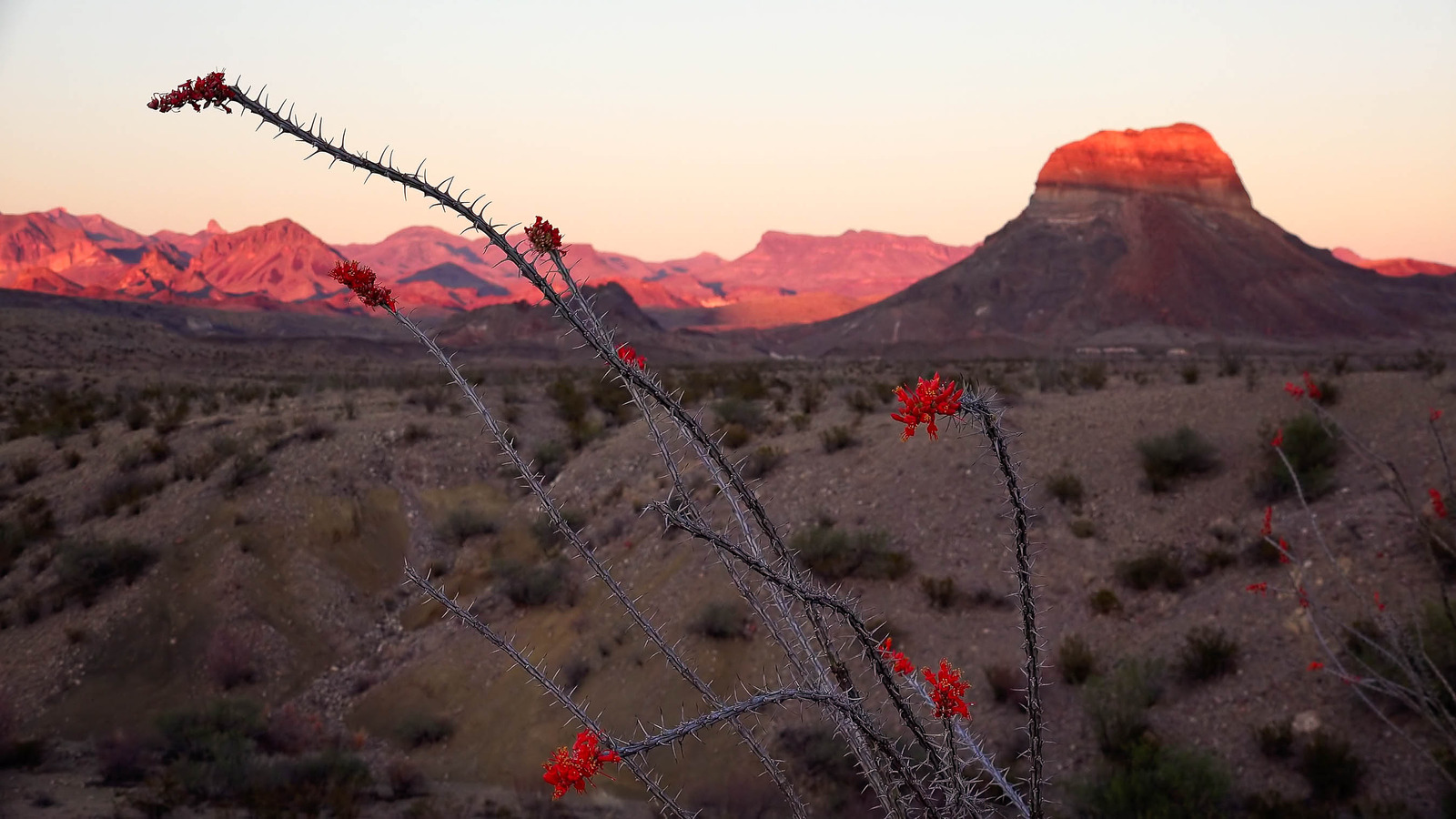 Big Bend National Park