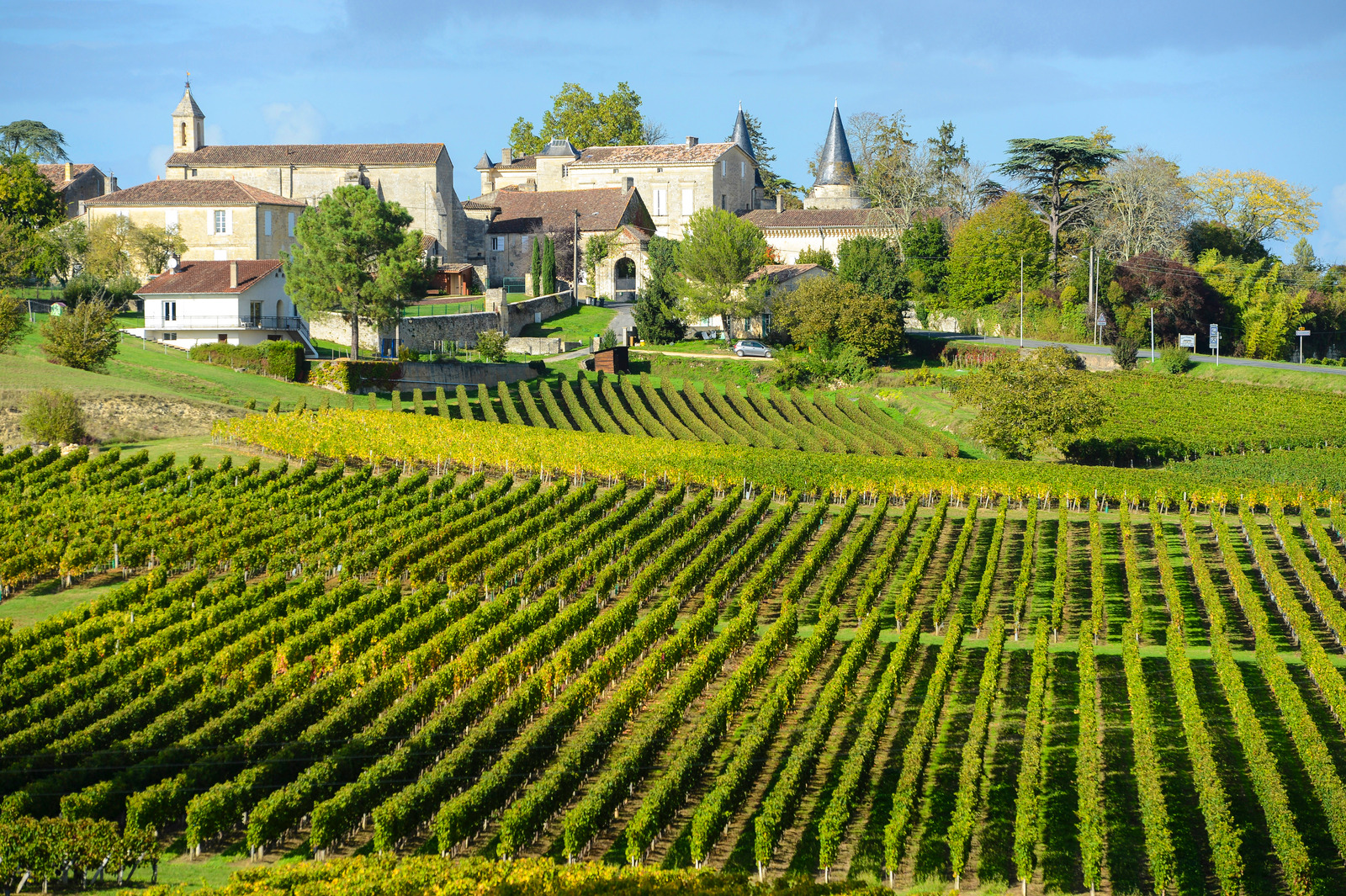 Stunning historic French villa with a sprawling vineyard in Bordeaux, France.