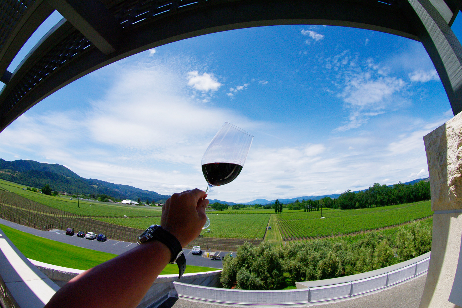Man raising his wine glass to the stunning scenery of Napa Valley, California.