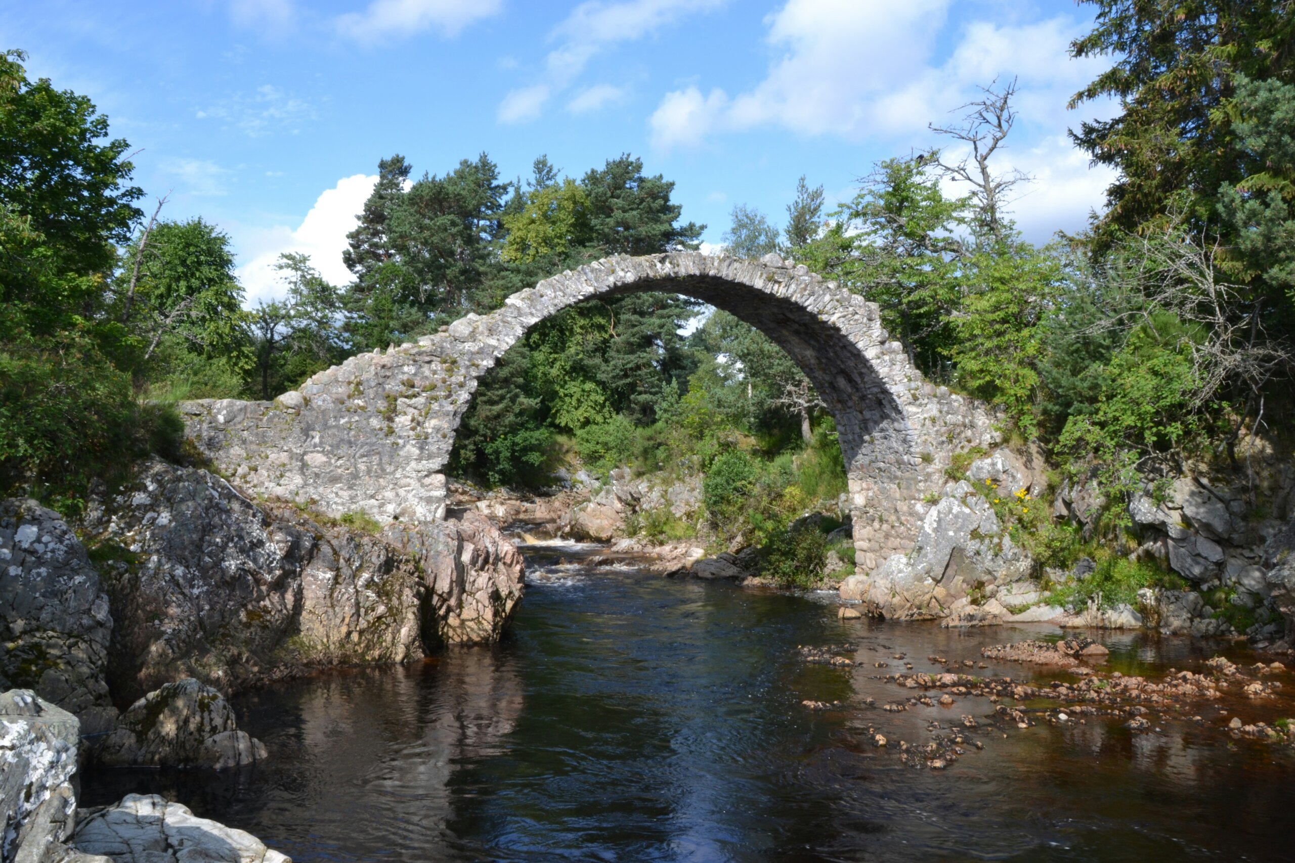 cairngorm national park, scotland