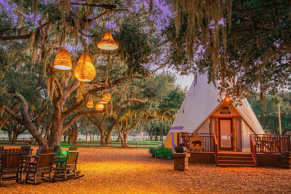 Glamping teepee lit at sunset under moss-covered trees at Westgate River Ranch Resort & Rodeo
