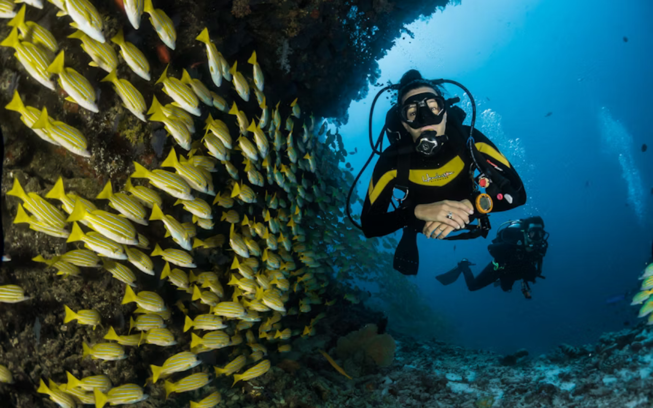 Divers working to restore reefs in the Maldives.