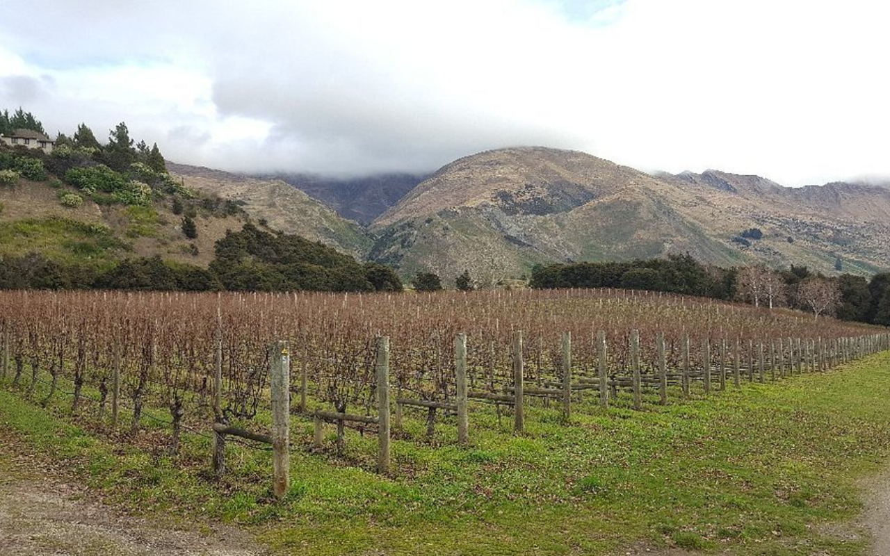 Rippon Winery, New Zealand