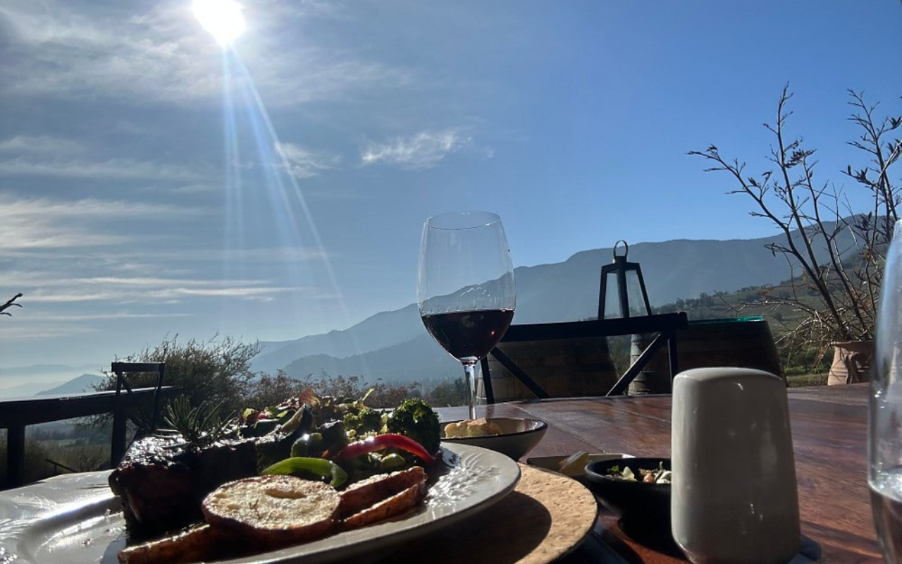 View from the winery, Viña San Pedro in Chile