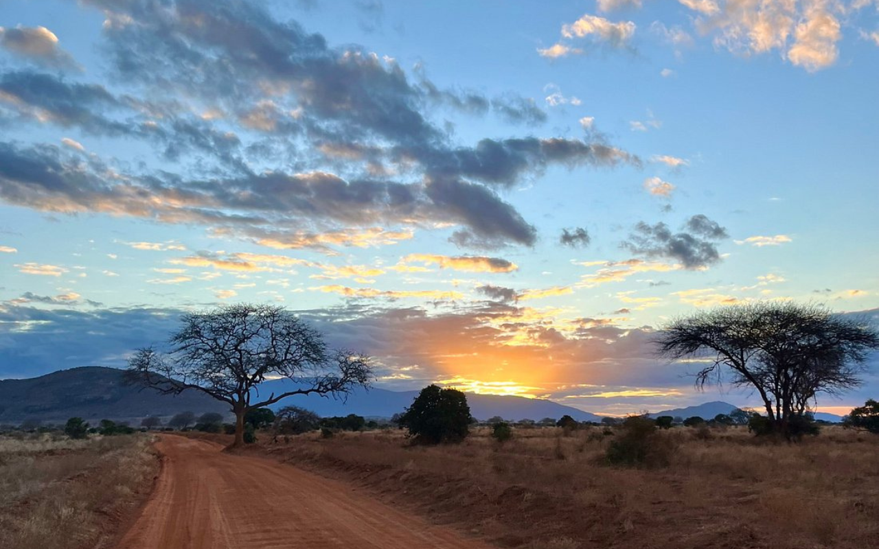 stunning landscape of the wild in Kenya
