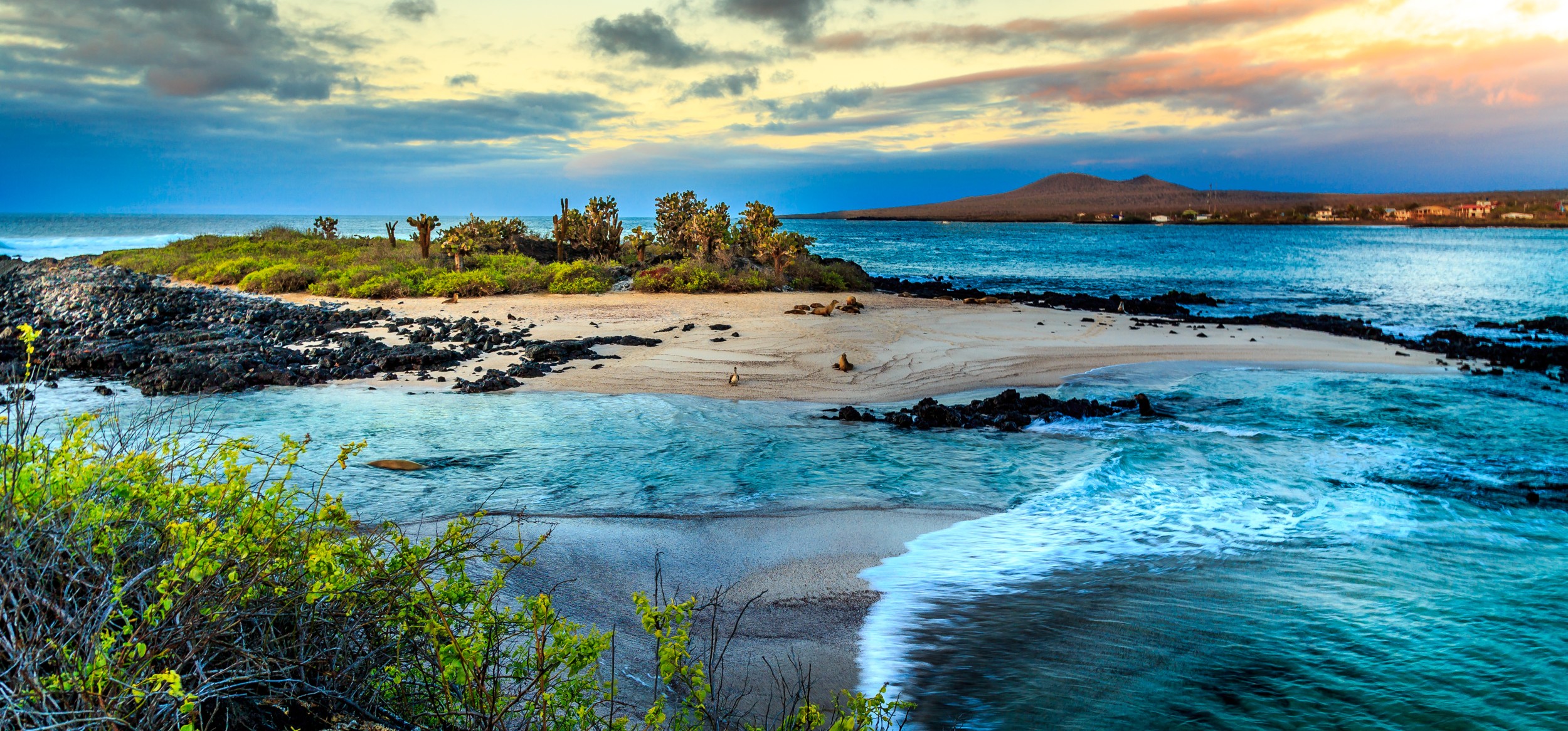Scenic view of the Galápagos Islands with turquoise waters, volcanic cliffs, and diverse wildlife habitat