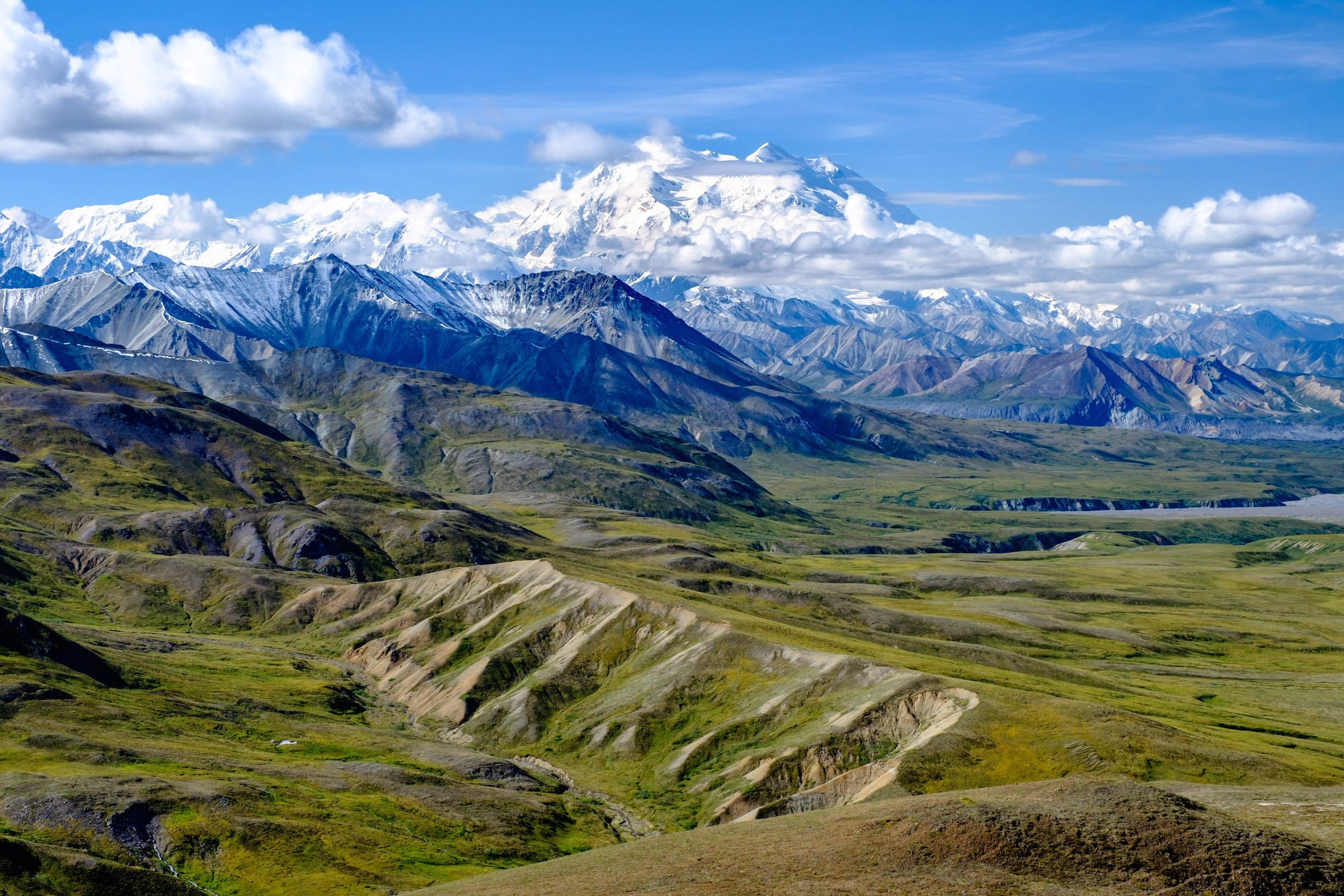 Snow-capped Denali mountains and forest landscape under northern lights in Alaska, offering natural beauty and adventure