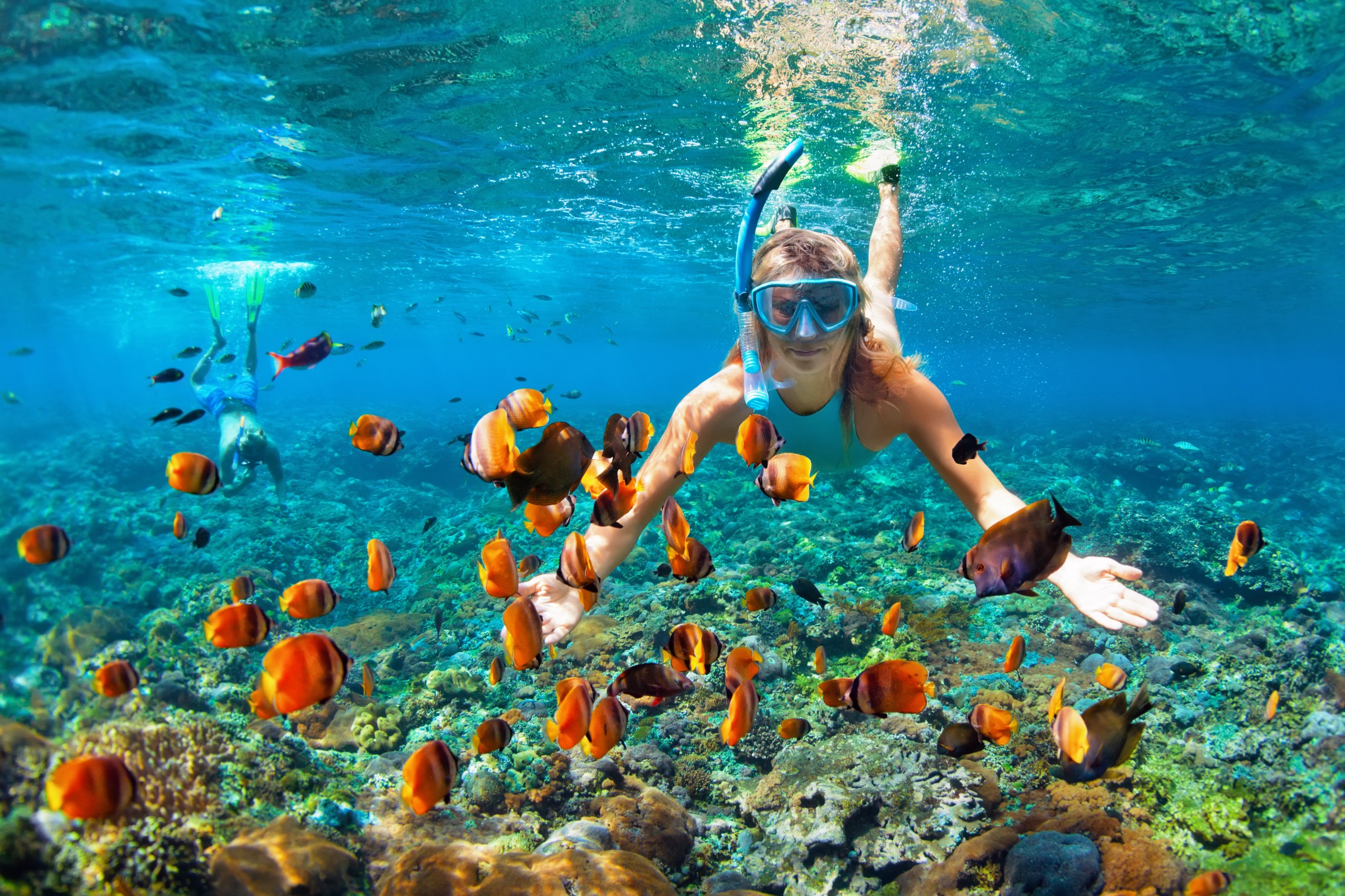 Couple snorkeling among tropical fish in a coral reef in Thailand, enjoying underwater adventure and summer beach travel.
