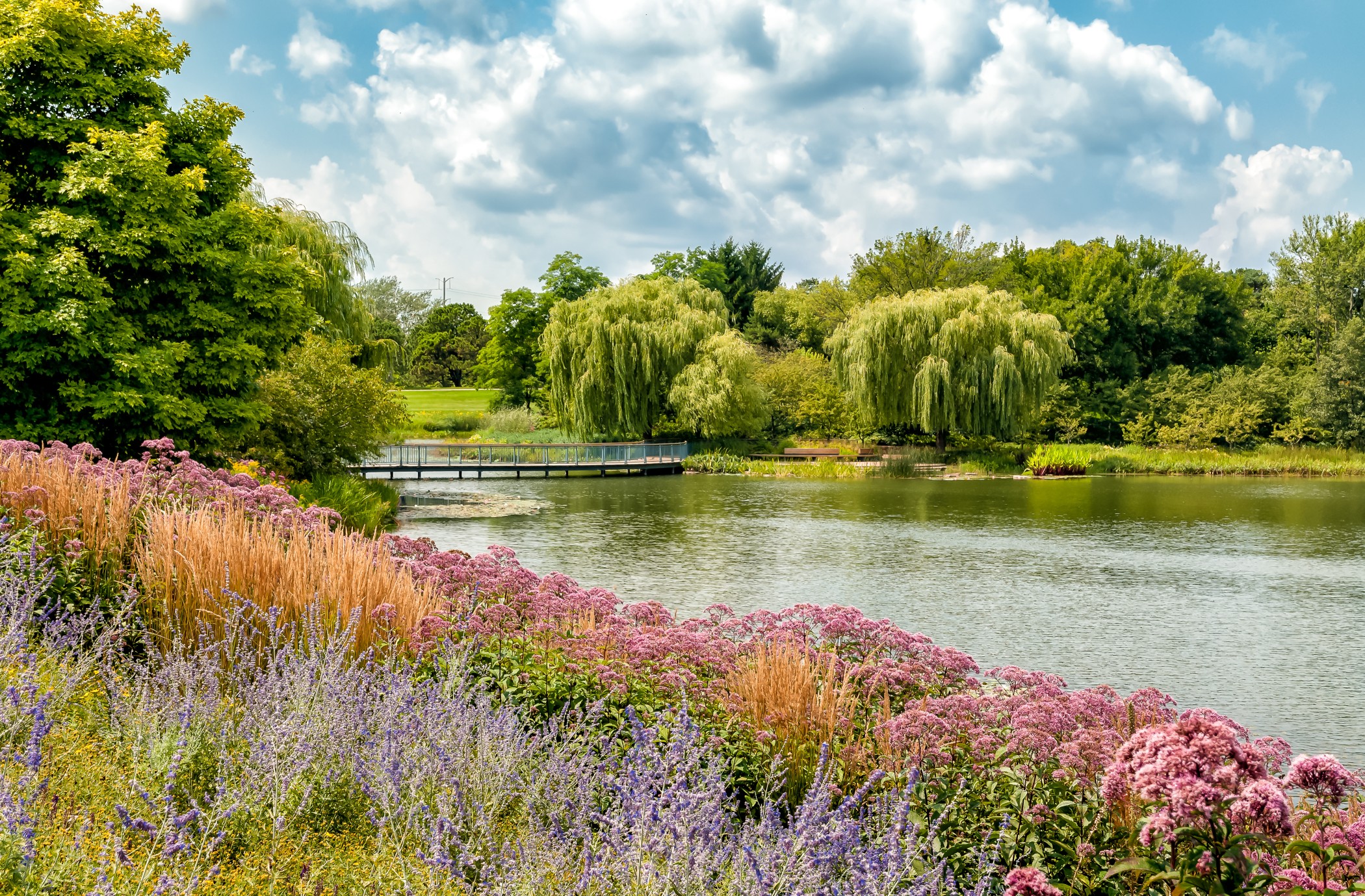 Summer landscape of Chicago Botanic Garden, Glencoe, Illinois, USA
