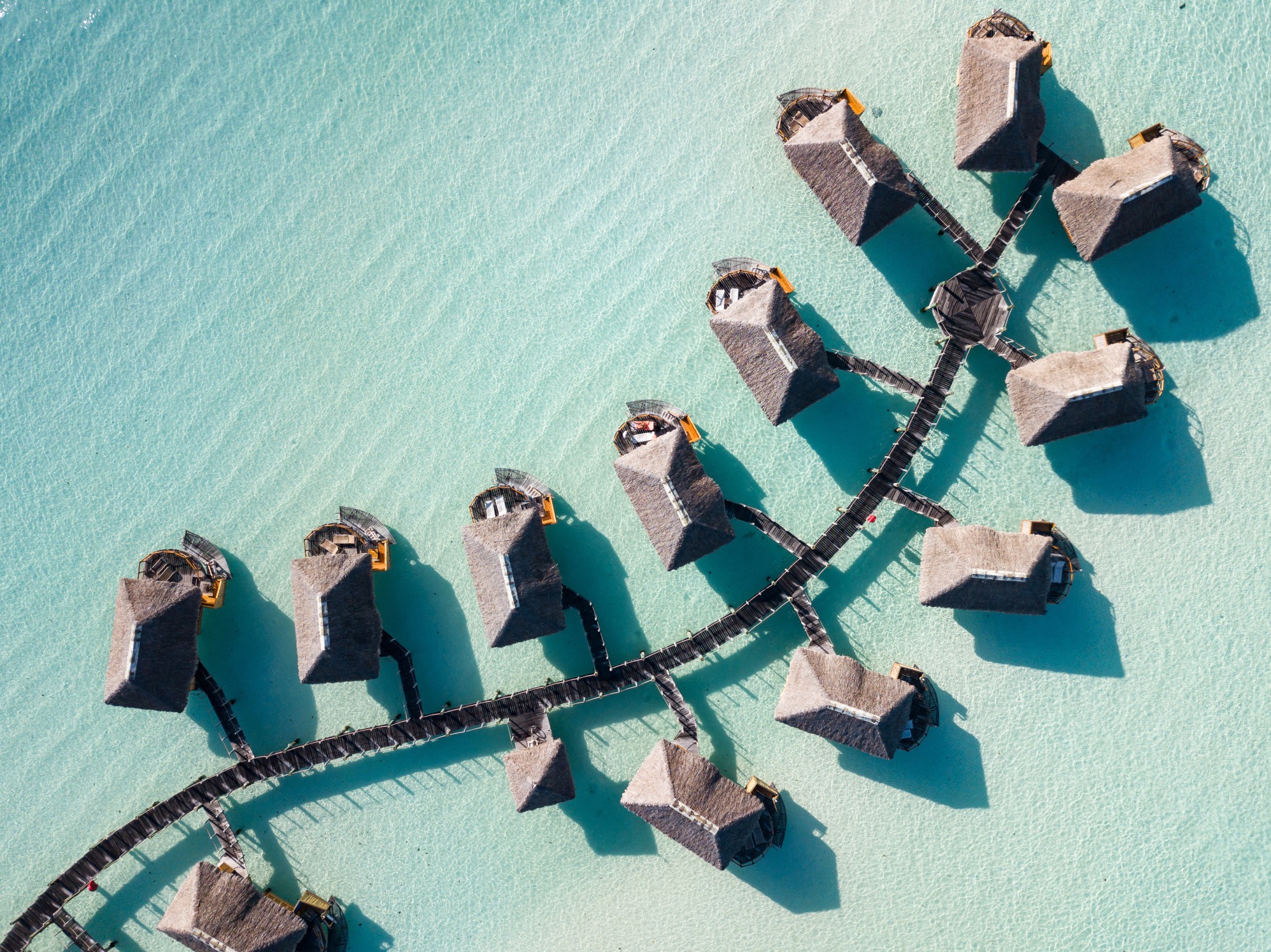 Luxury overwater villas in Bora Bora with palm trees, white sand beach, and blue lagoon – top honeymoon destination in Tahiti 2025