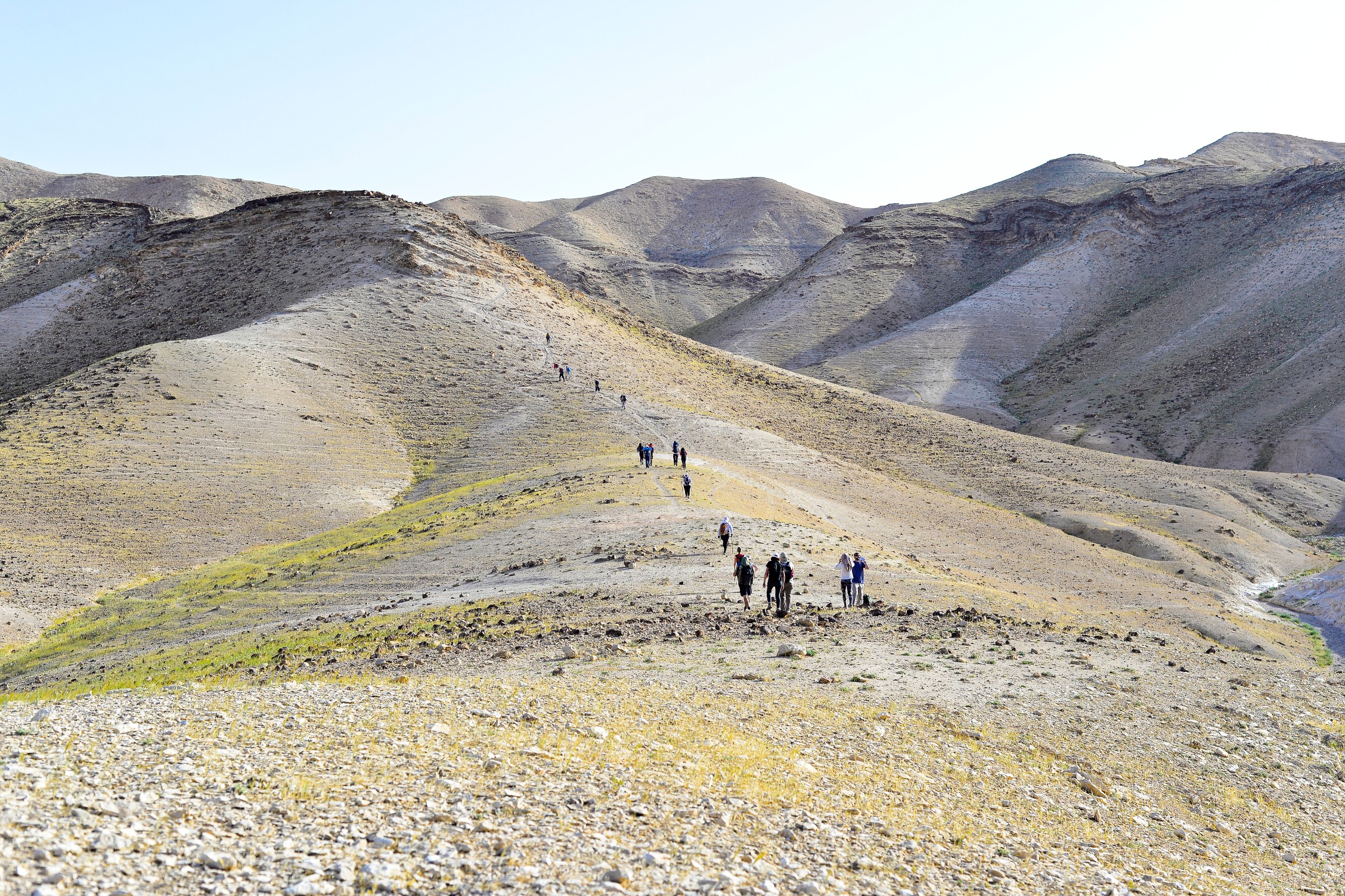 Group of tourists hiking, travelers on a trail in an Israeli desert mountains. Backpackers tourists group walking hiking rocks desert path trail. Israel desert hills landscape at spring, green grass