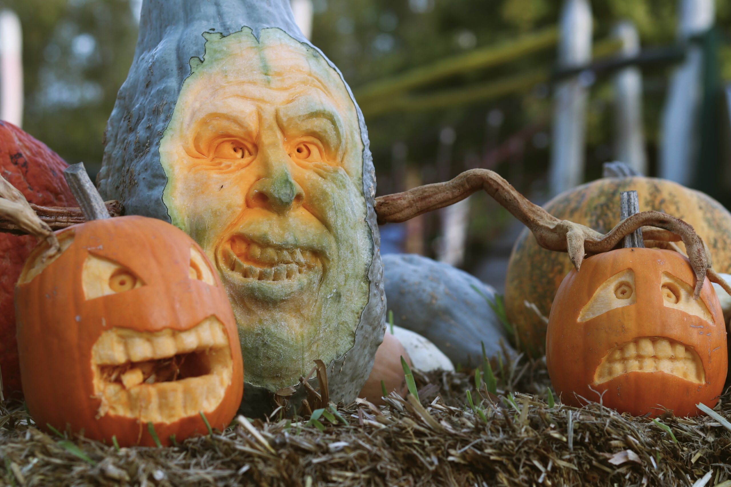 three carved pumpkin-faces on a bed of straw