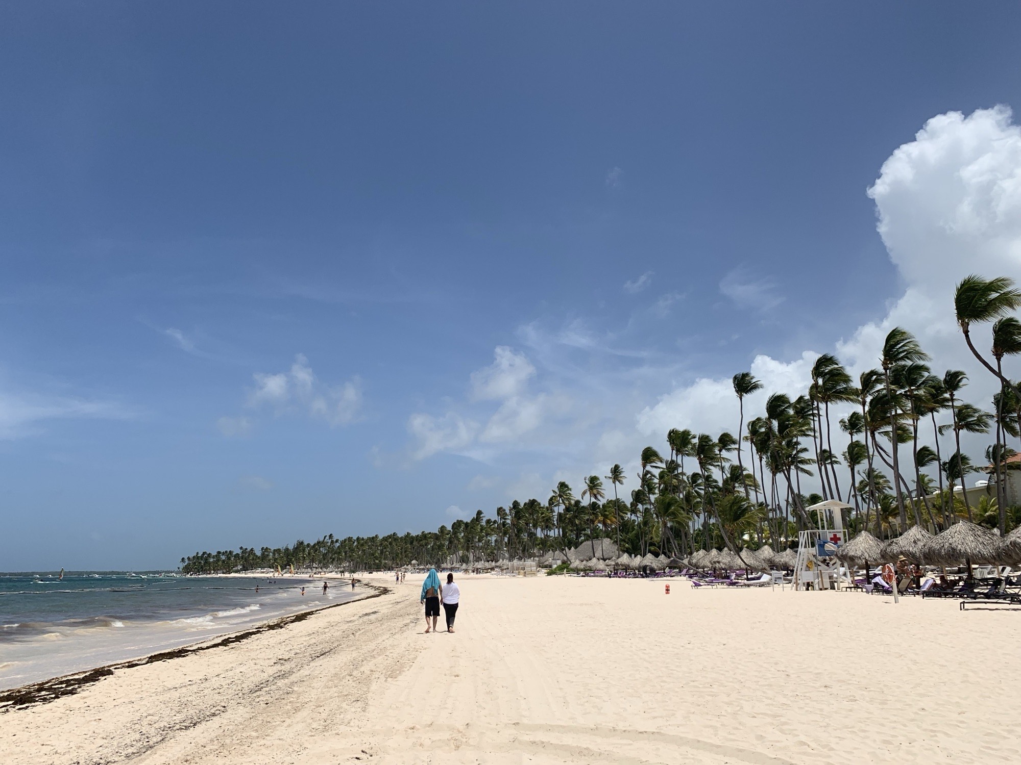 Beach in Punta Cana lined with resort chairs and cabanas.
