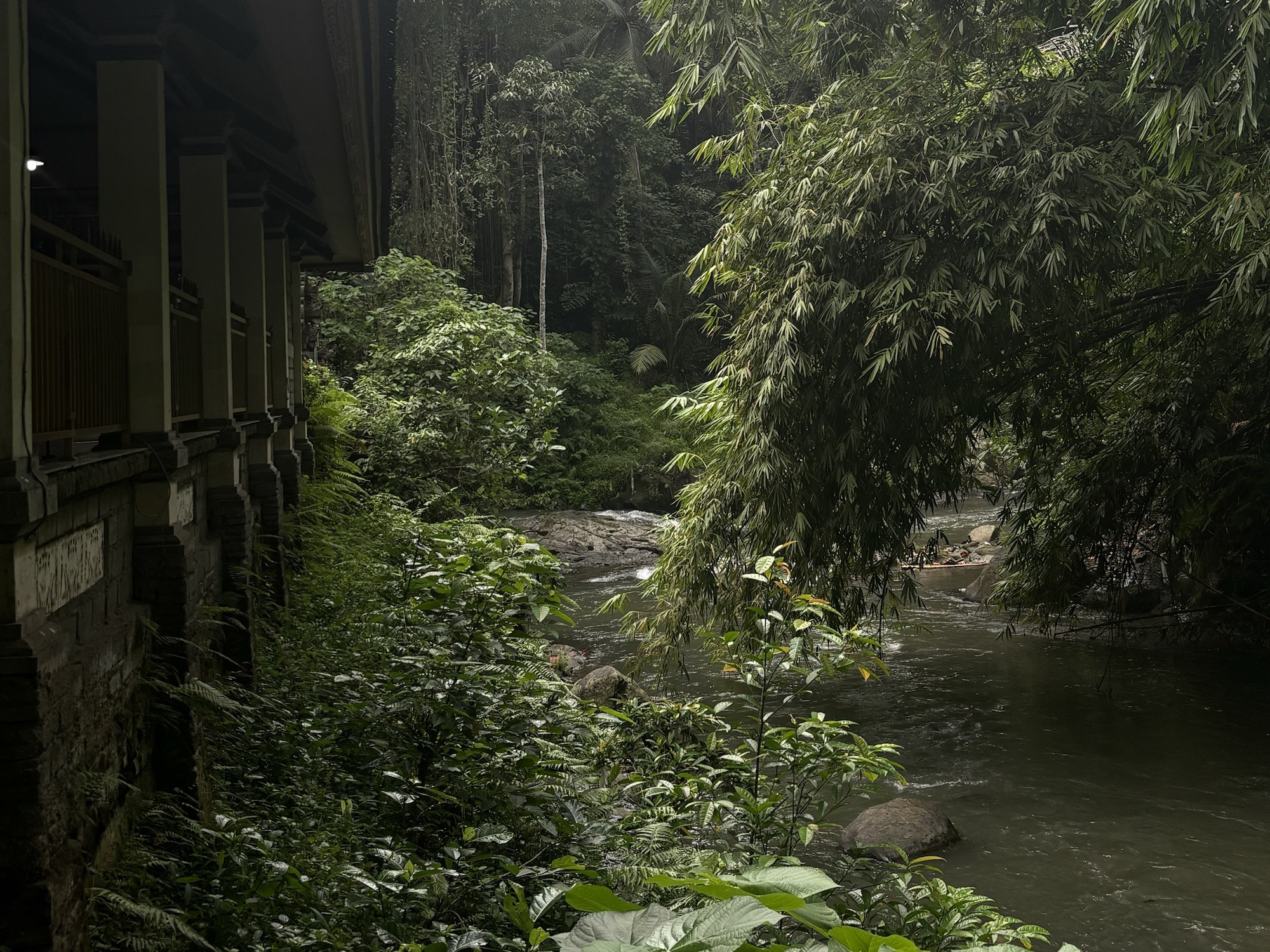 
River running next to the shala at House of Om.