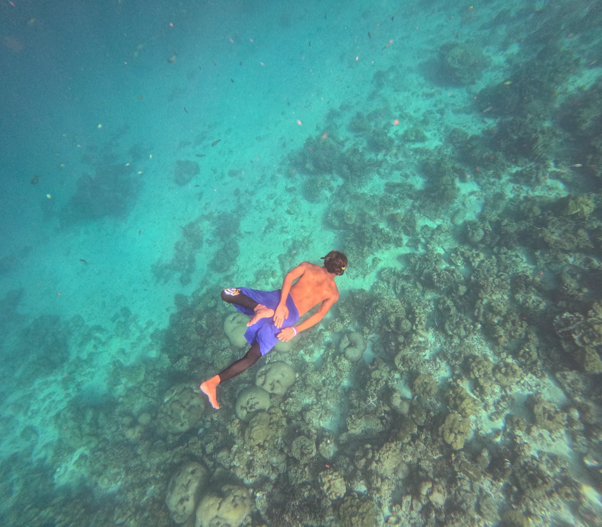 Young man freediving at a popular dive spot in Koh Lanta.