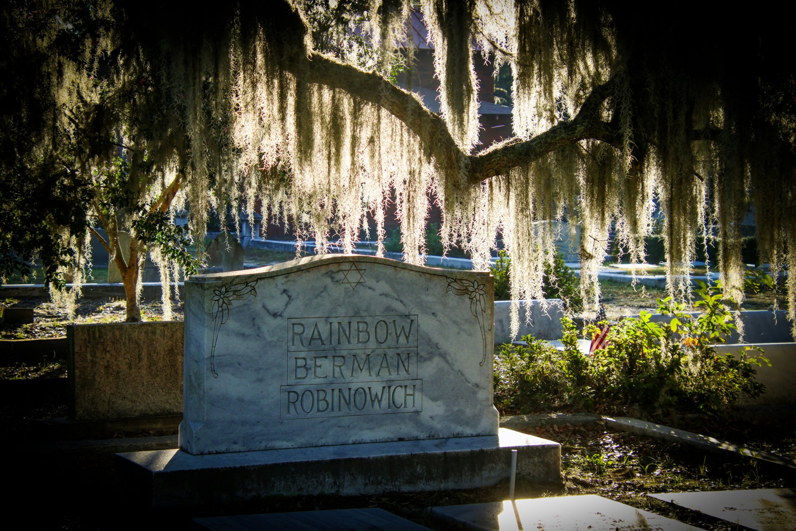 bonaventure cemetery