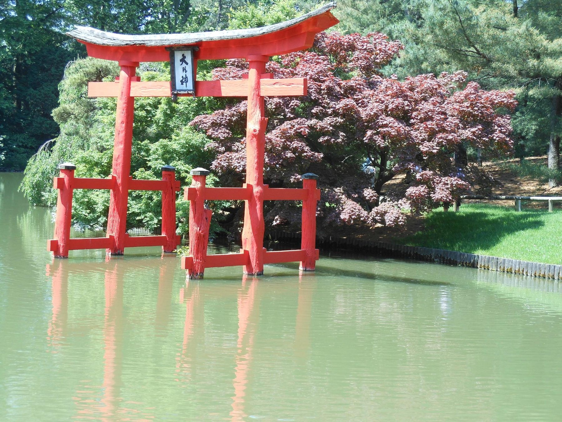 brooklyn botanic garden, new york