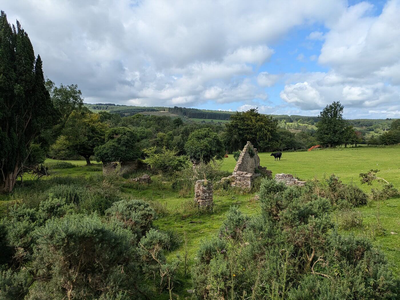 the slieve bloom mountains