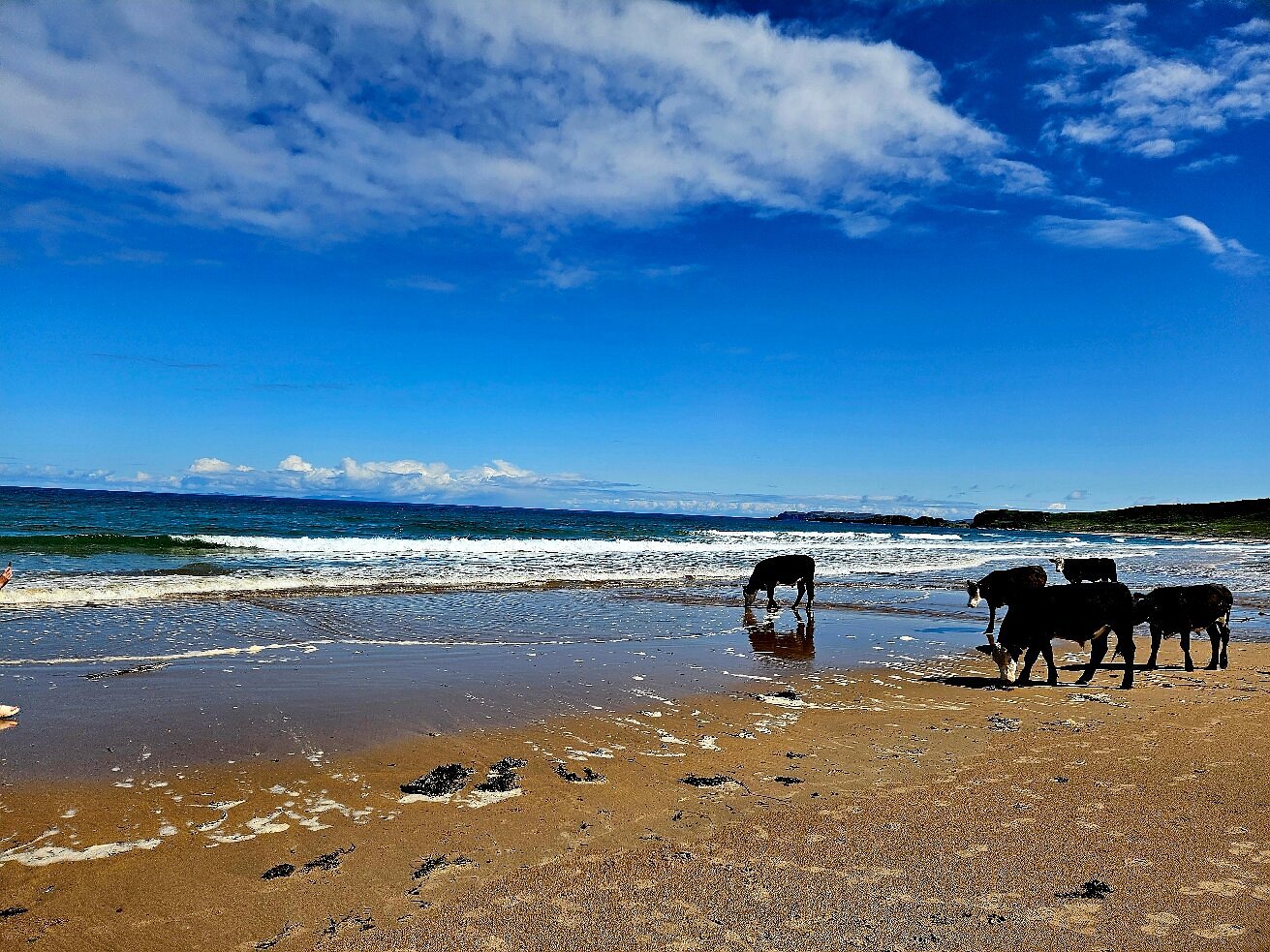 white park bay