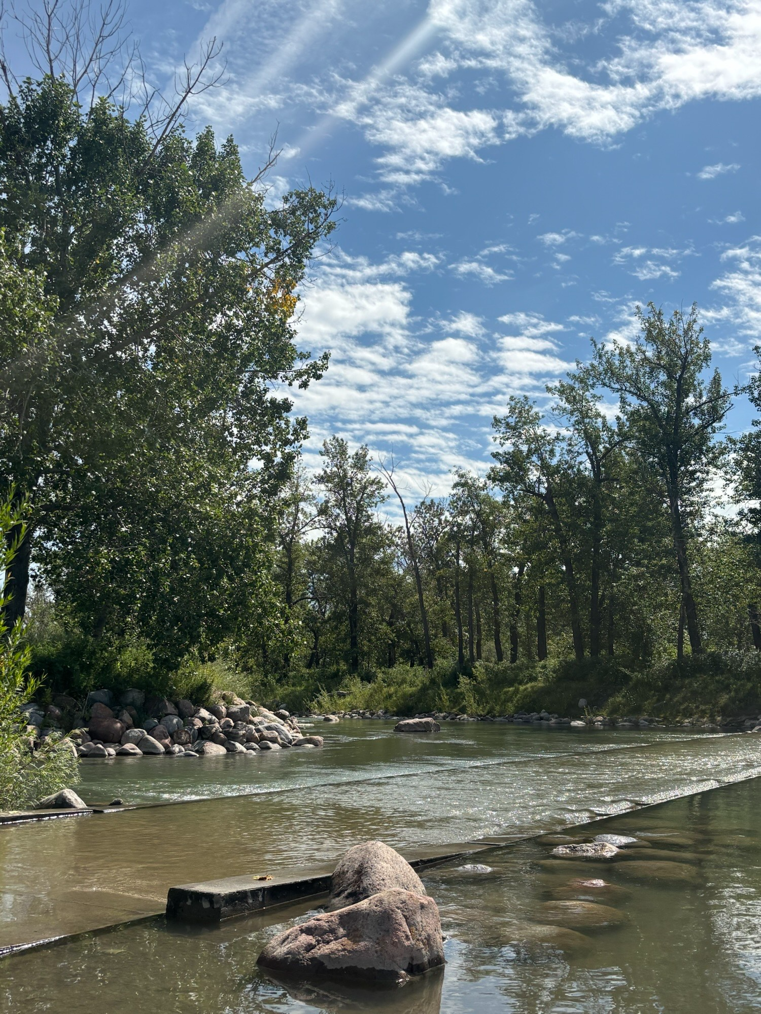 One of the stops we made near prince island park to dip our feet in the water! 