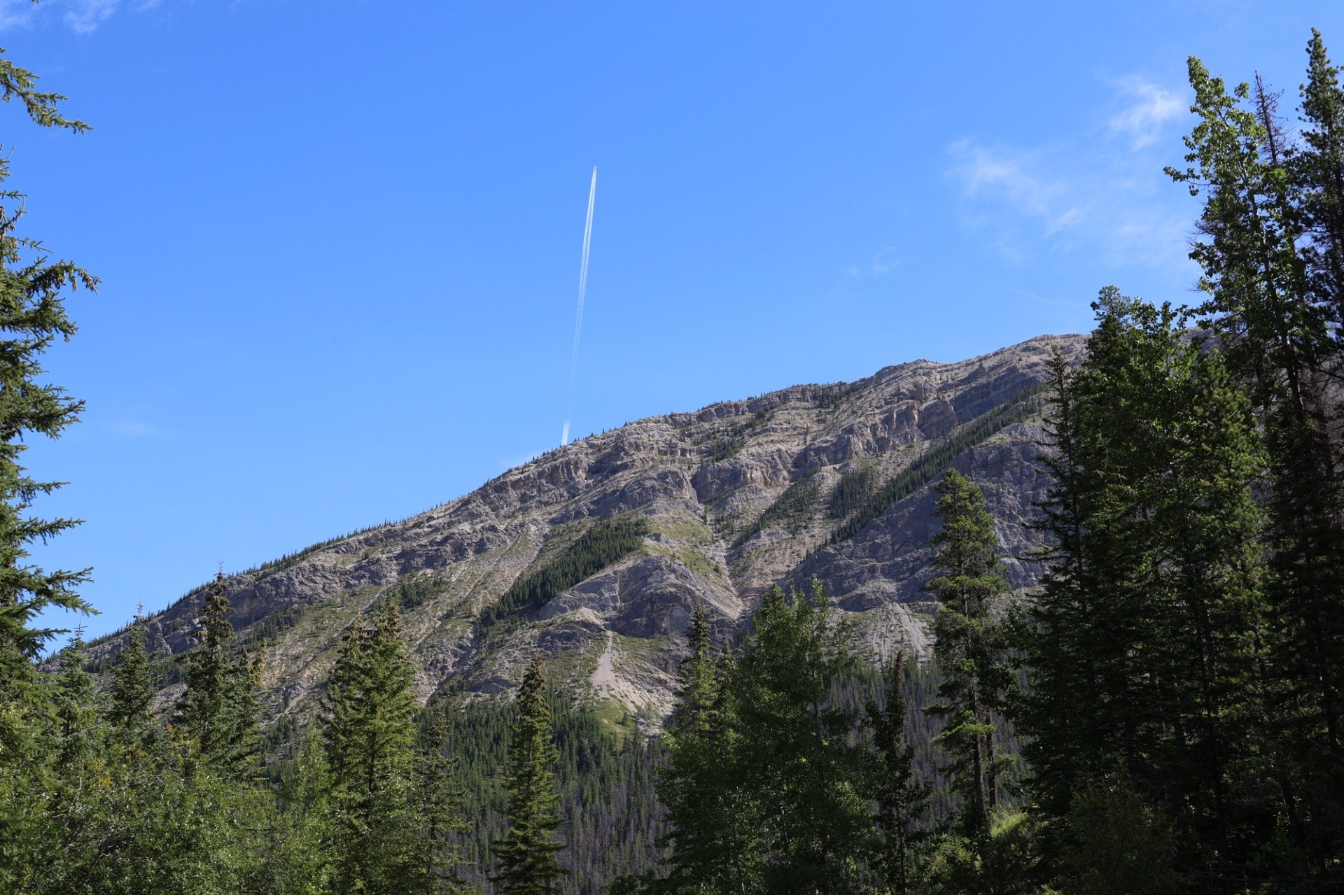 Mountain framed by pine trees with bright blue sky in Jasper National Park near Miette Hot Springs