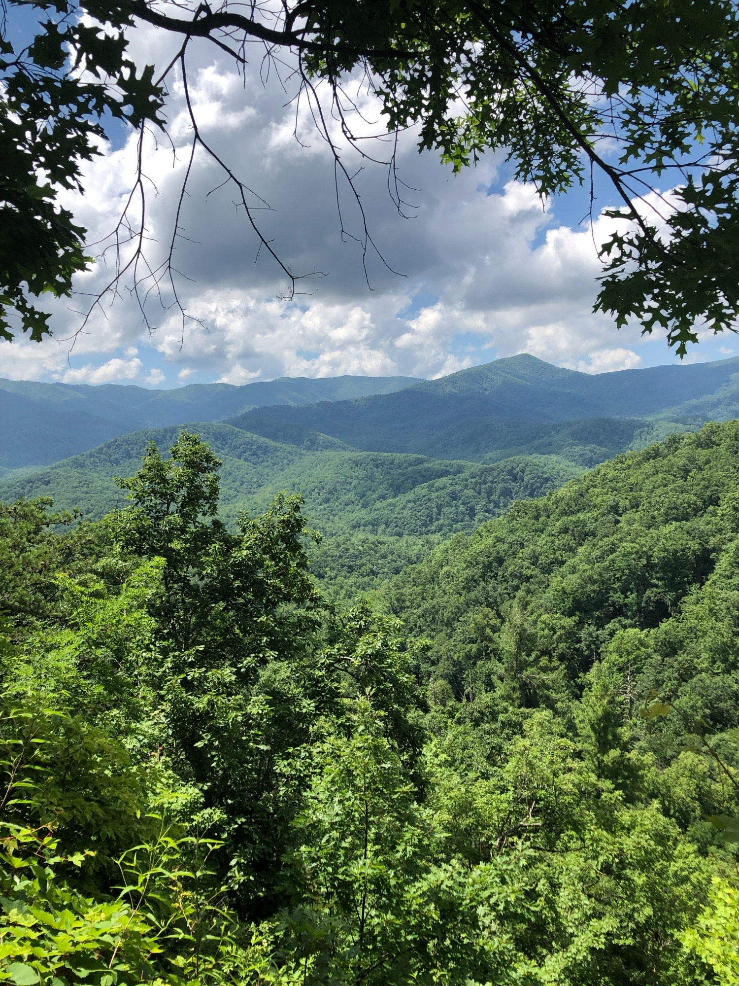 Views from the mountains of Gatlinburg, Tennessee.