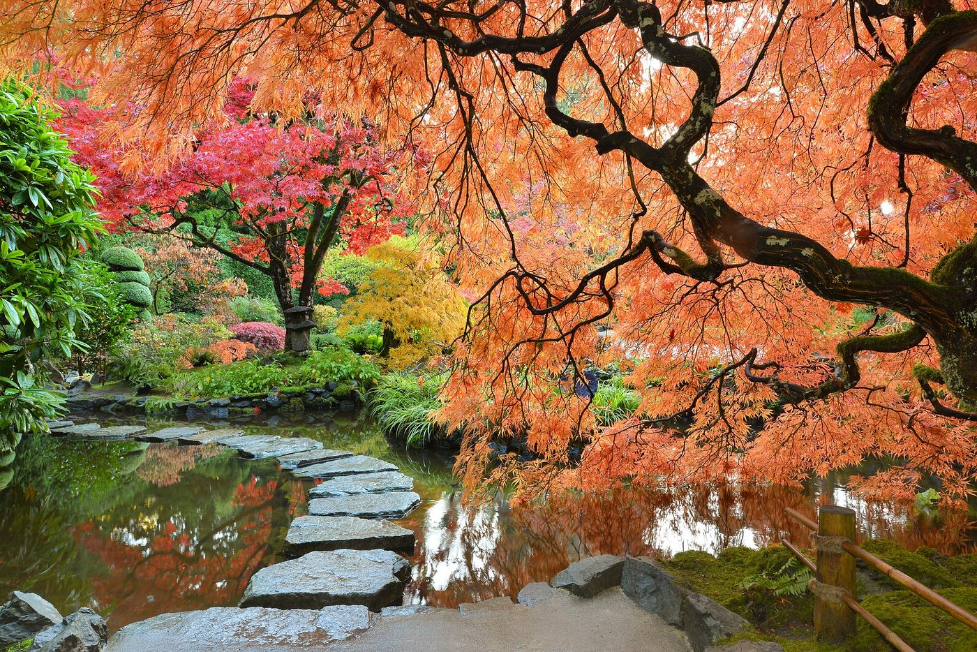 the butchart gardens