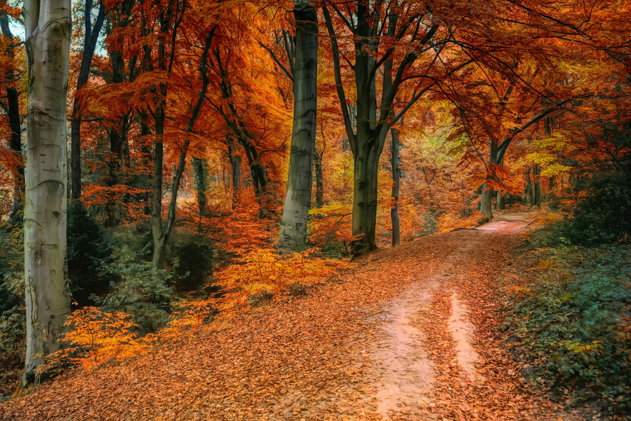 autumn