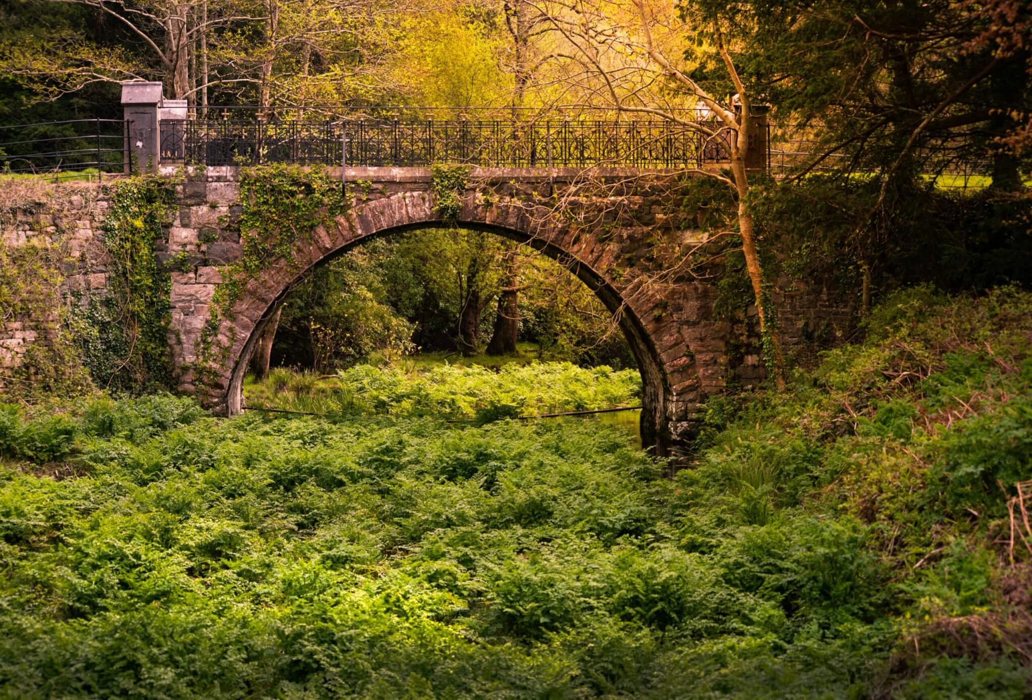 ireland