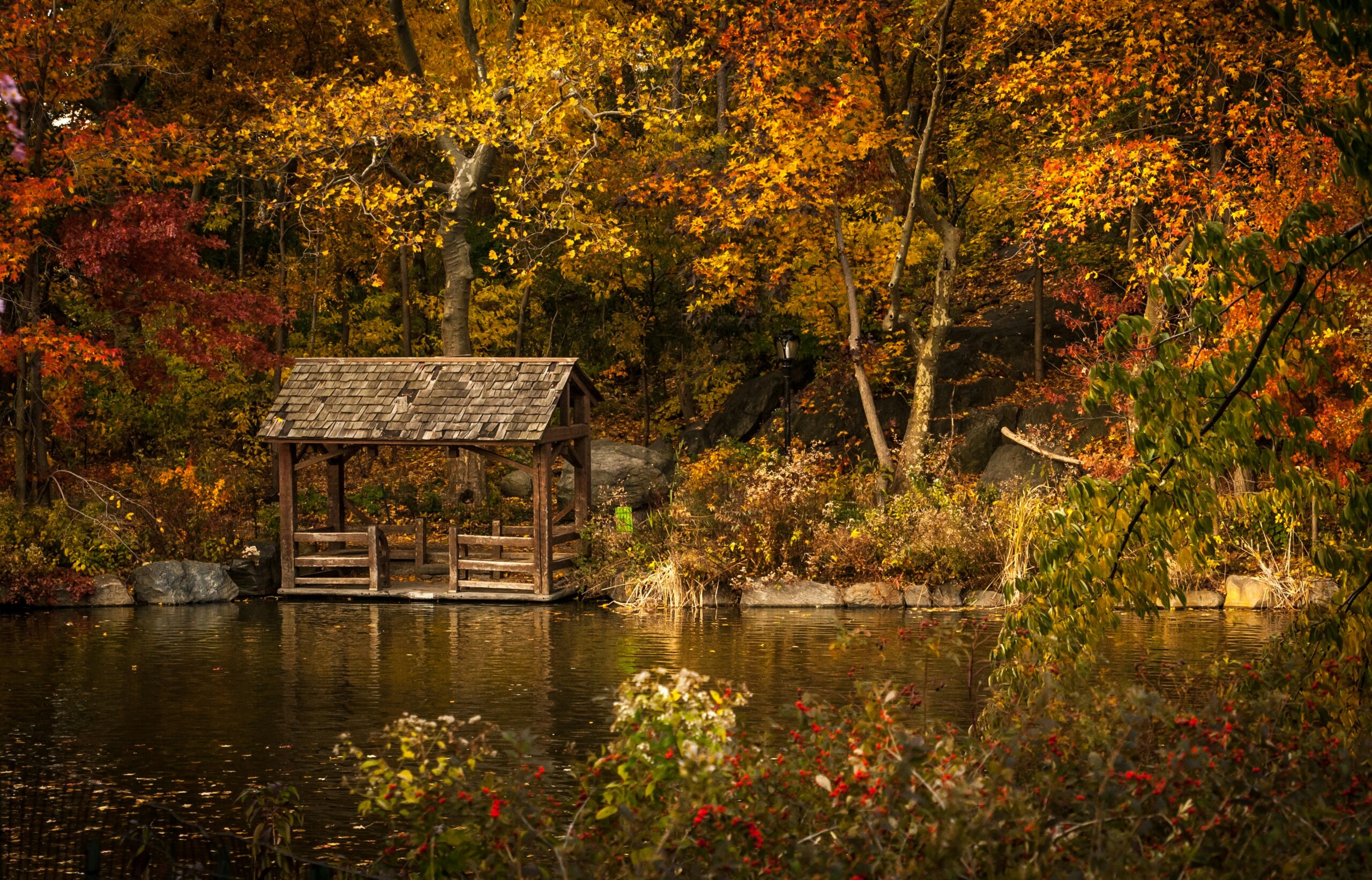 autumn