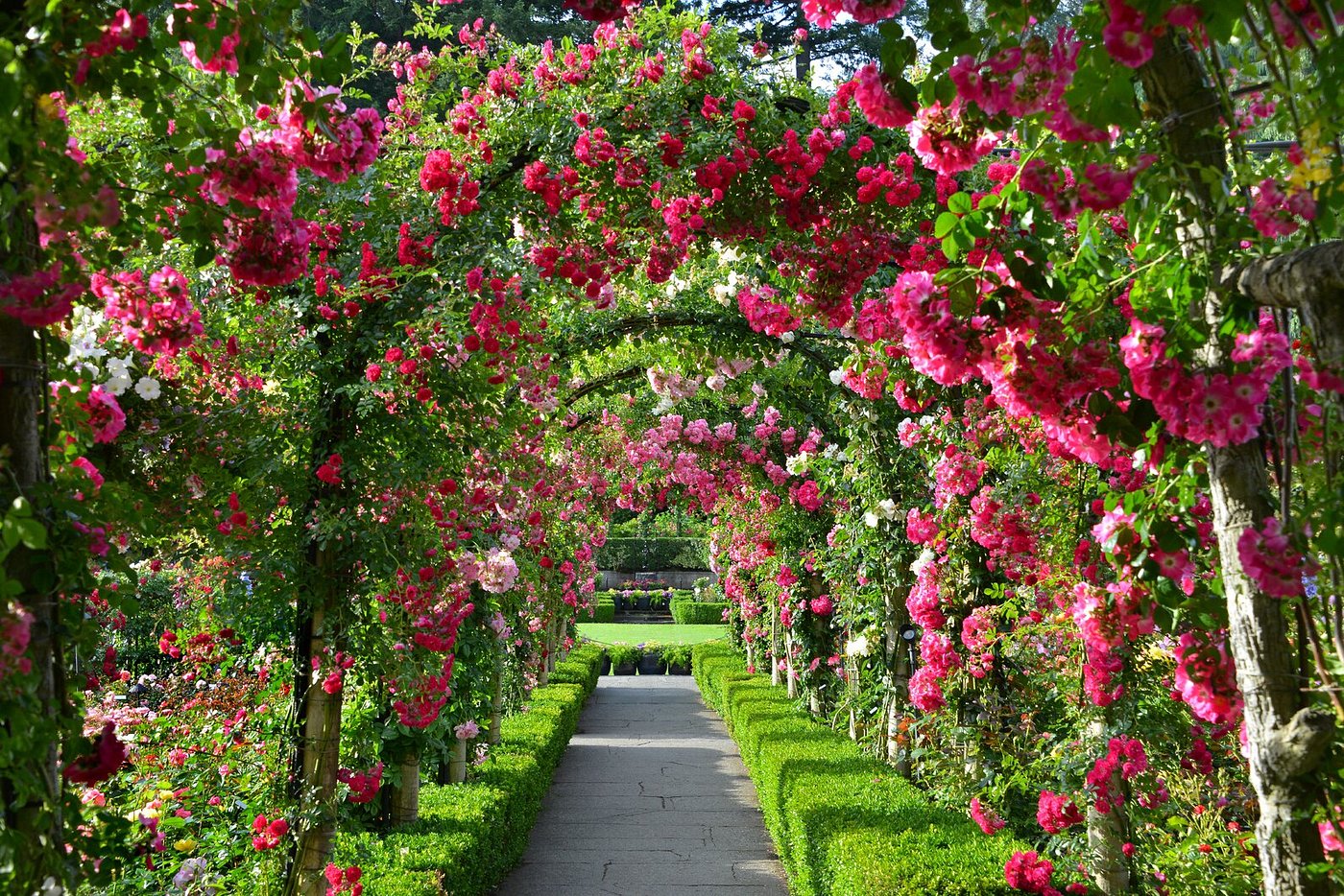the butchart gardens