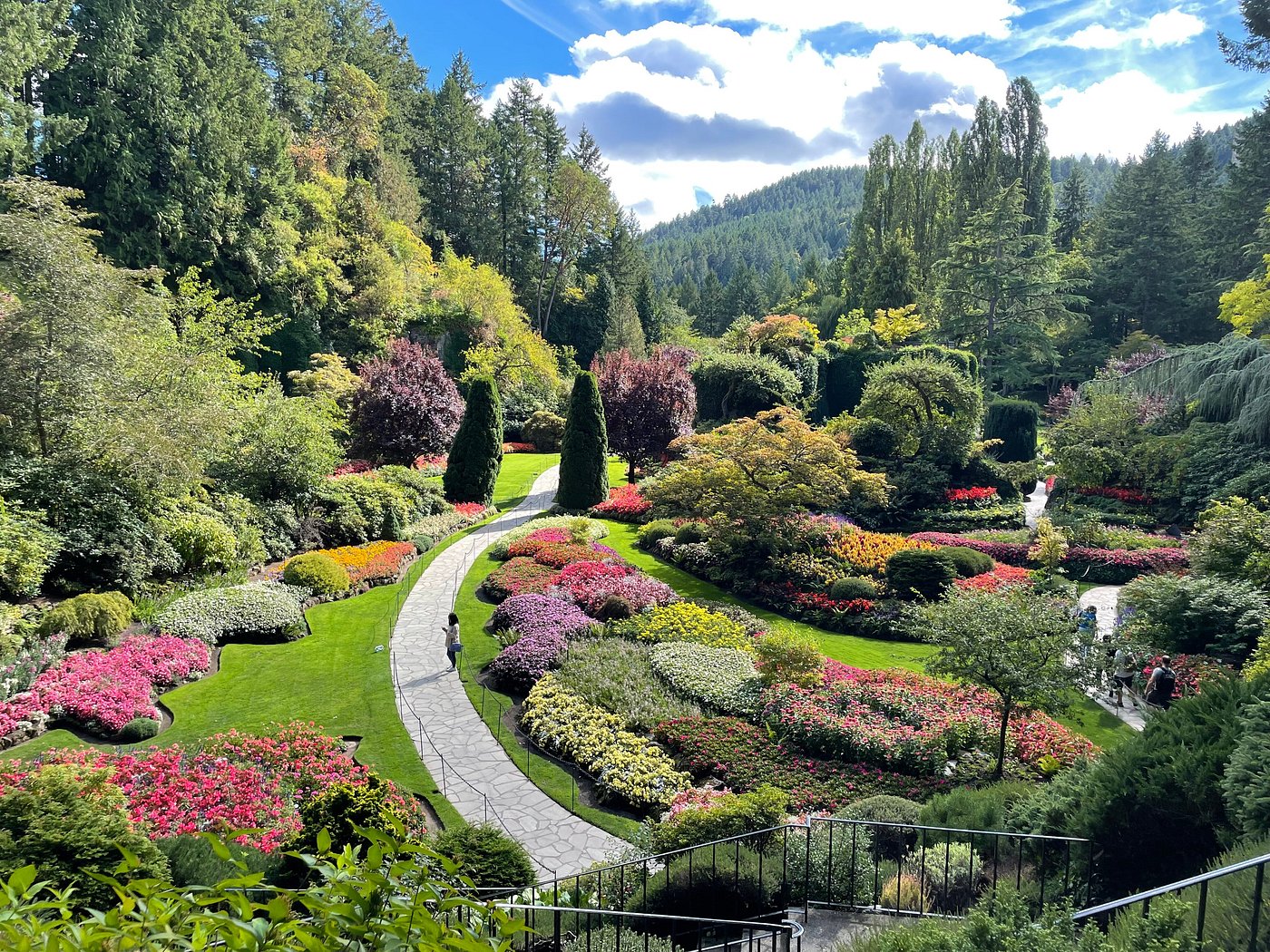 the butchart gardens