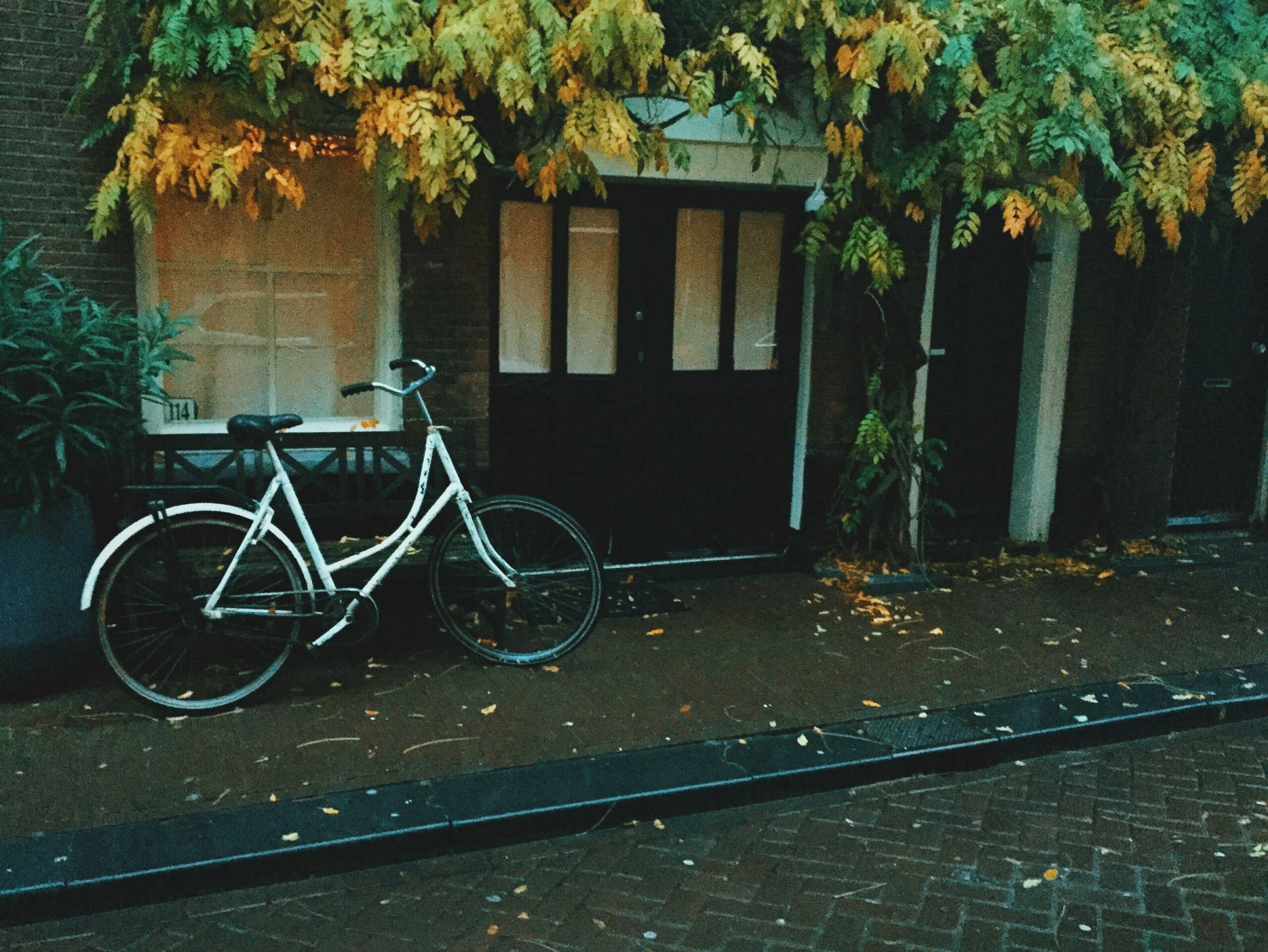 bicycle in amsterdam