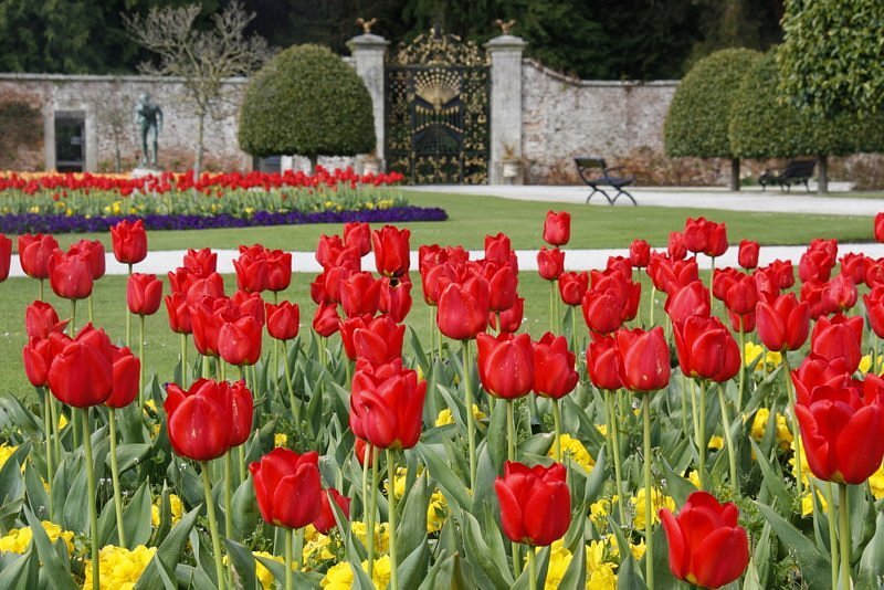 powerscourt gardens, wicklow, ireland