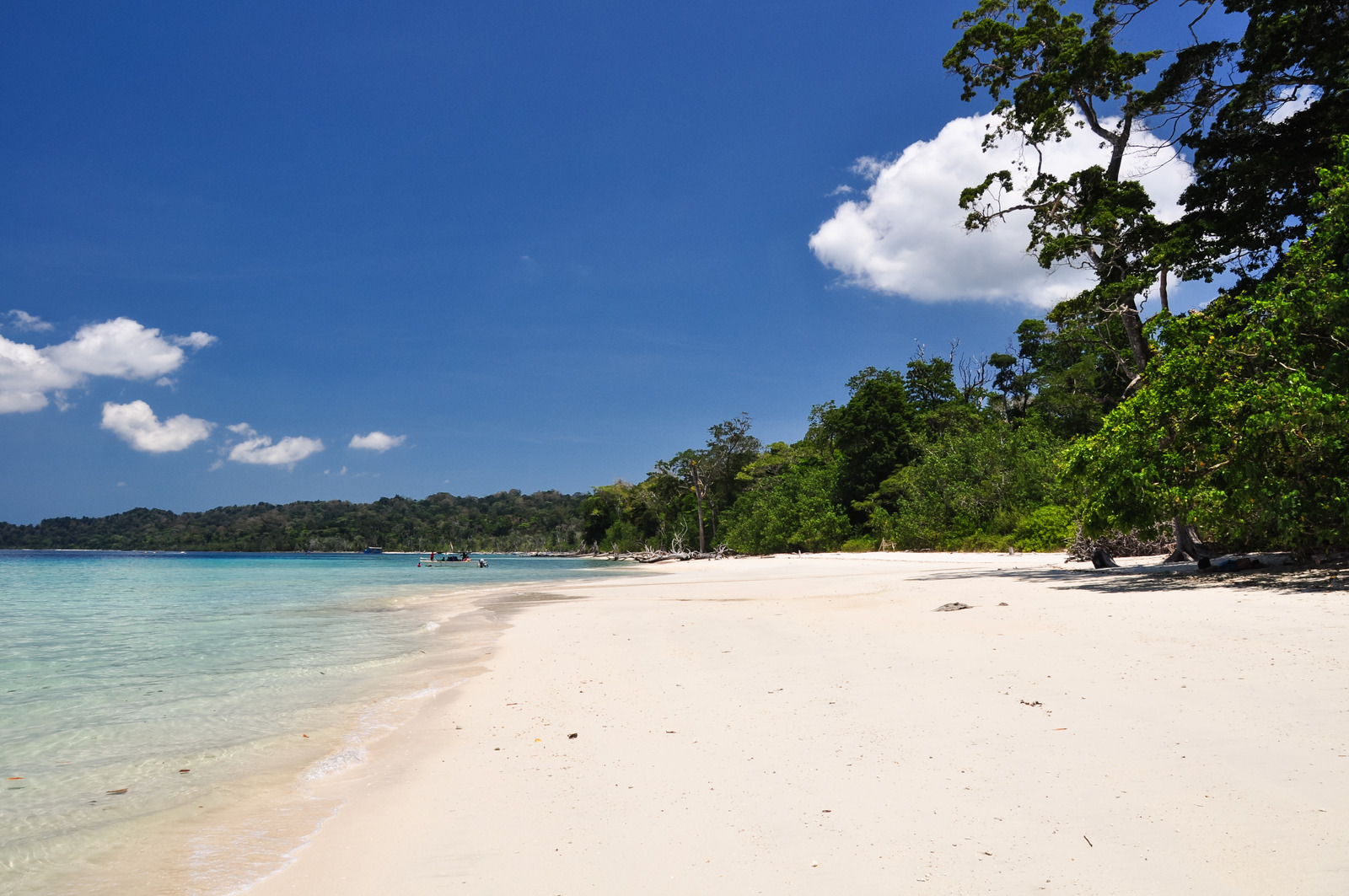 Elephant Beach, Havelock Island, India – Coral reef and lush greenery at Elephant Beach, Havelock Island.