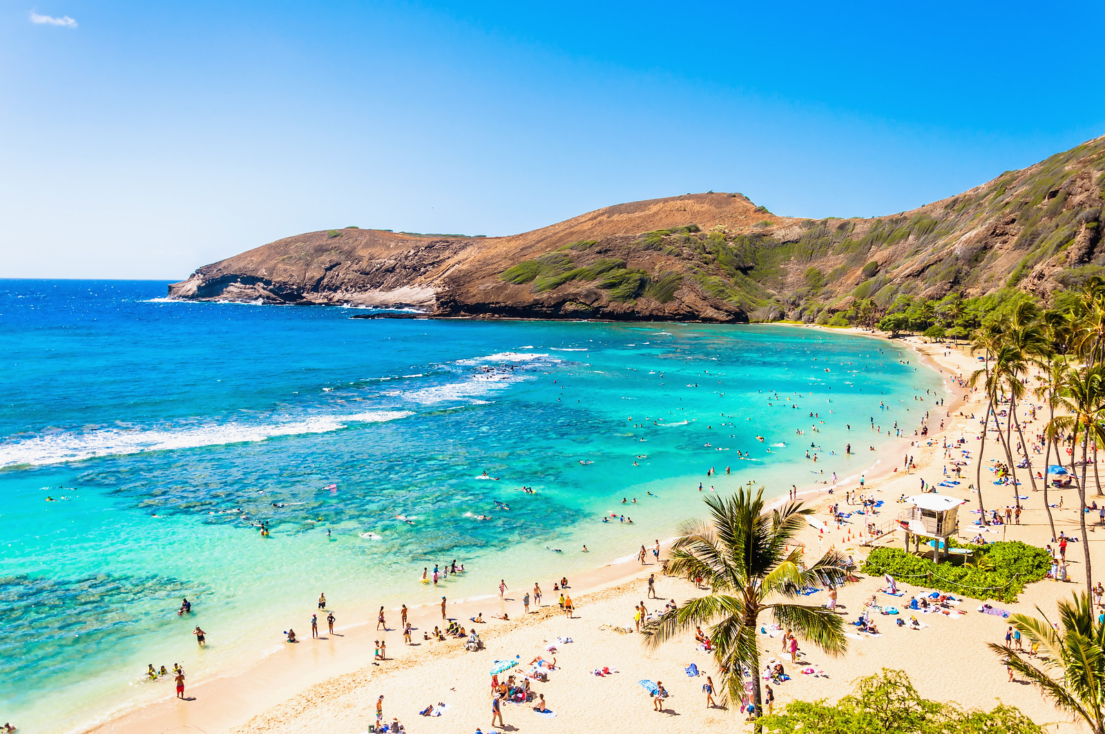 Hanauma Bay, Oahu, Hawaii – Coral reef and marine life in crystal-clear water at Hanauma Bay, Oahu.