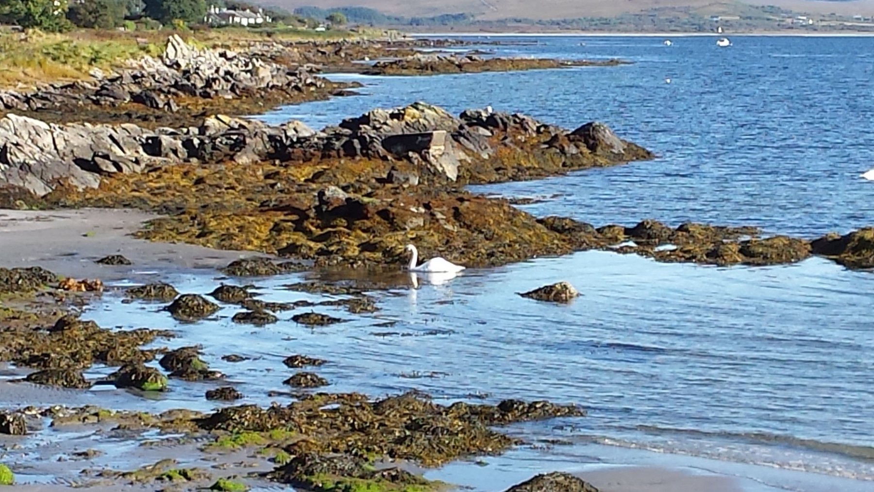 the isle of jura