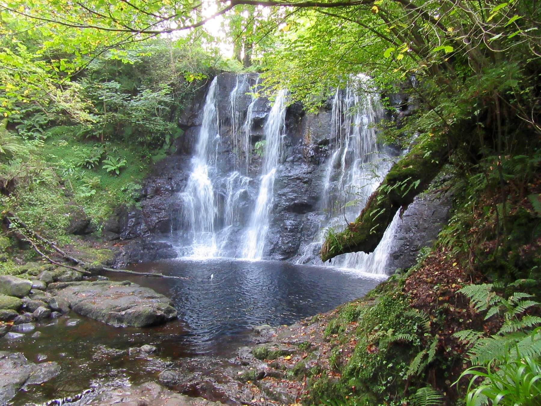 glenariff forest park