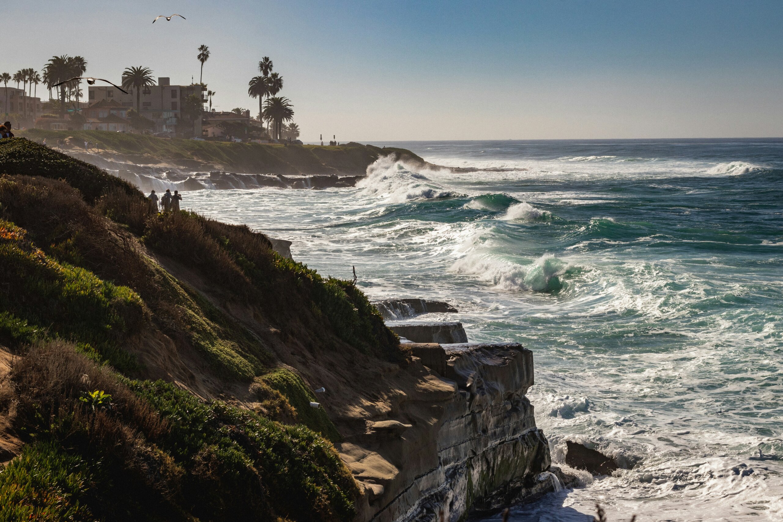 la jolla