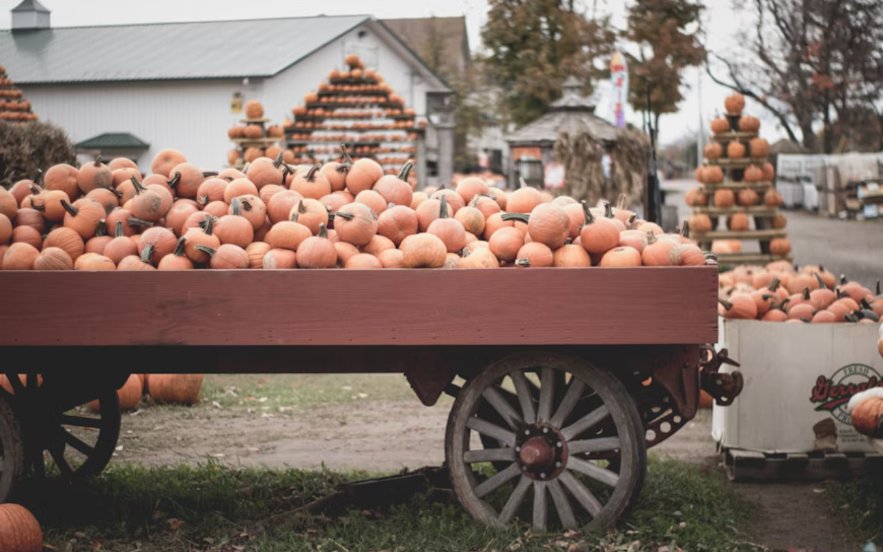 Laconia, New Hampshire fall festival