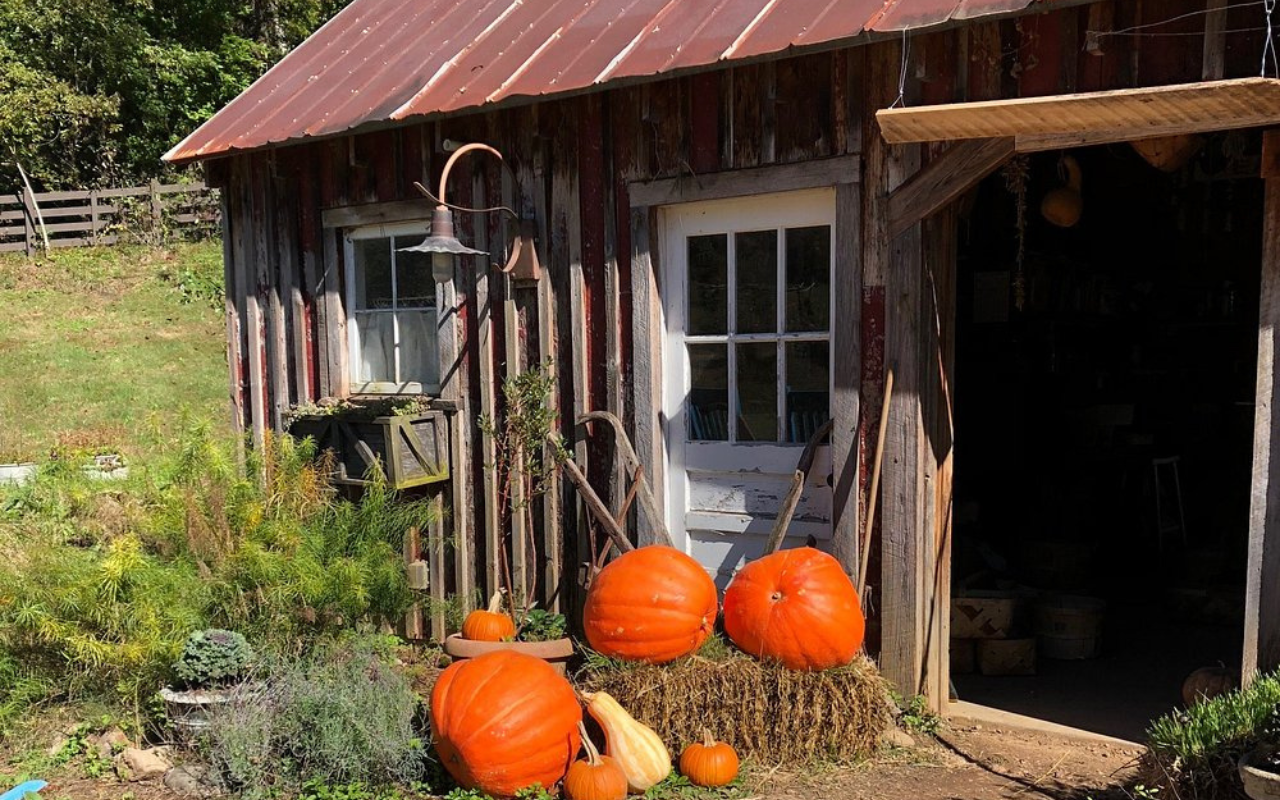 Pumpkins outside a rustic barn at Blackberry Farm in the Smoky Mountains, a family-friendly Thanksgiving retreat in Tennessee.