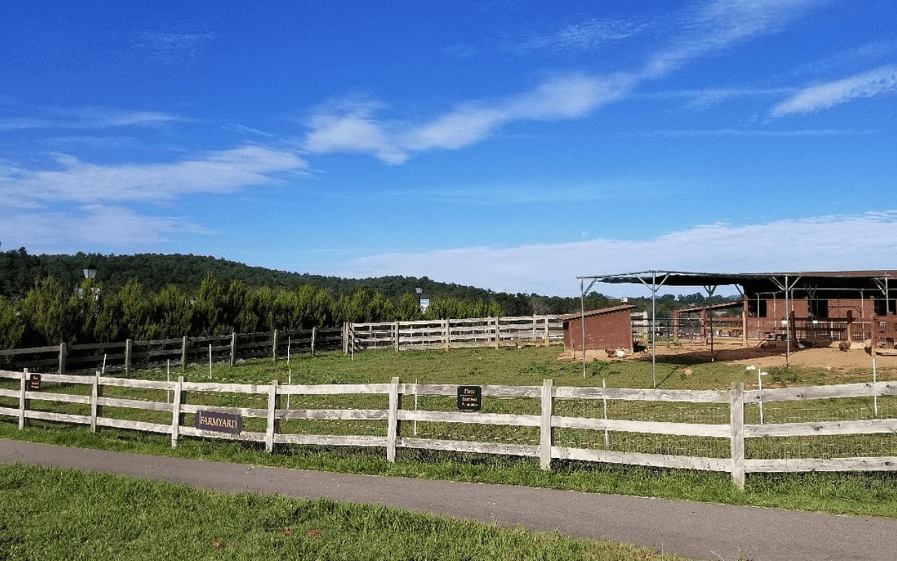 Visit the Animals in the Farmyard