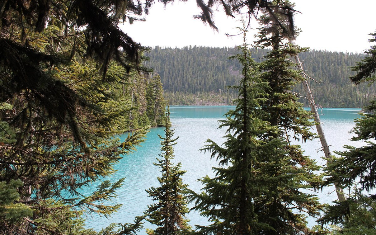 Mountain Trek Fitness Retreat & Health Spa, Canada